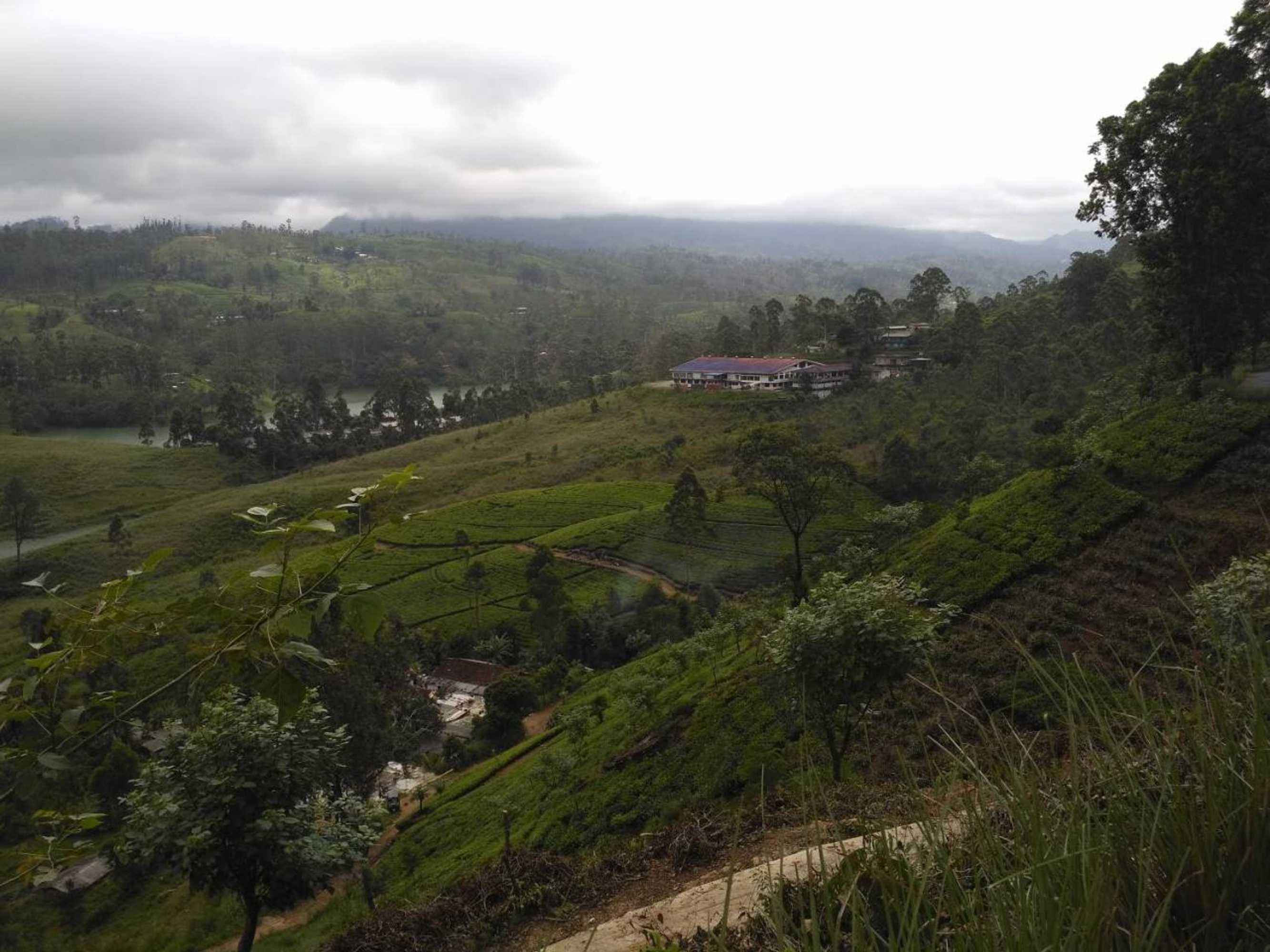 Gift card for Dam House (near Adams Peak)