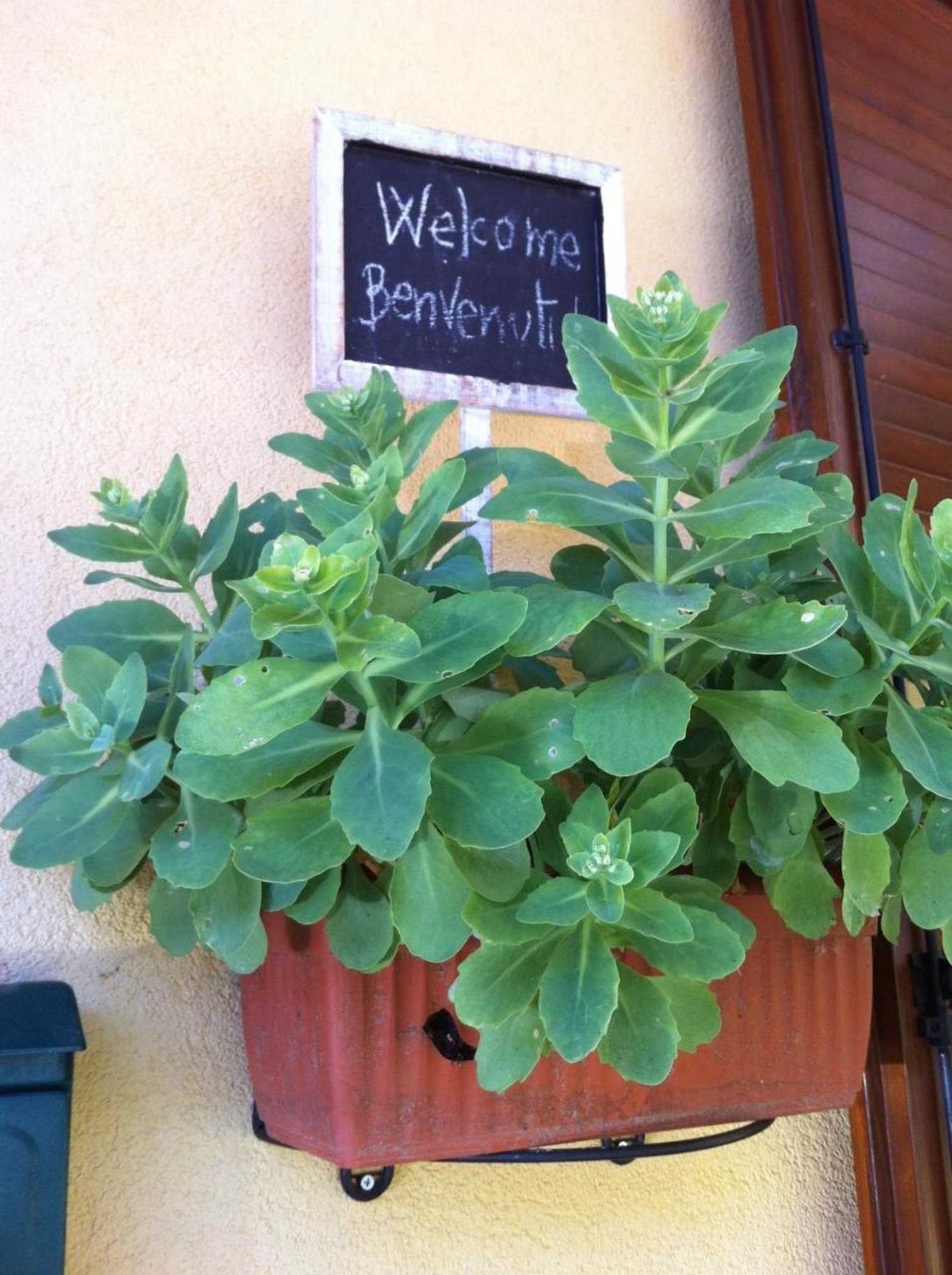Gift card for B&b Il Portico Del Conte