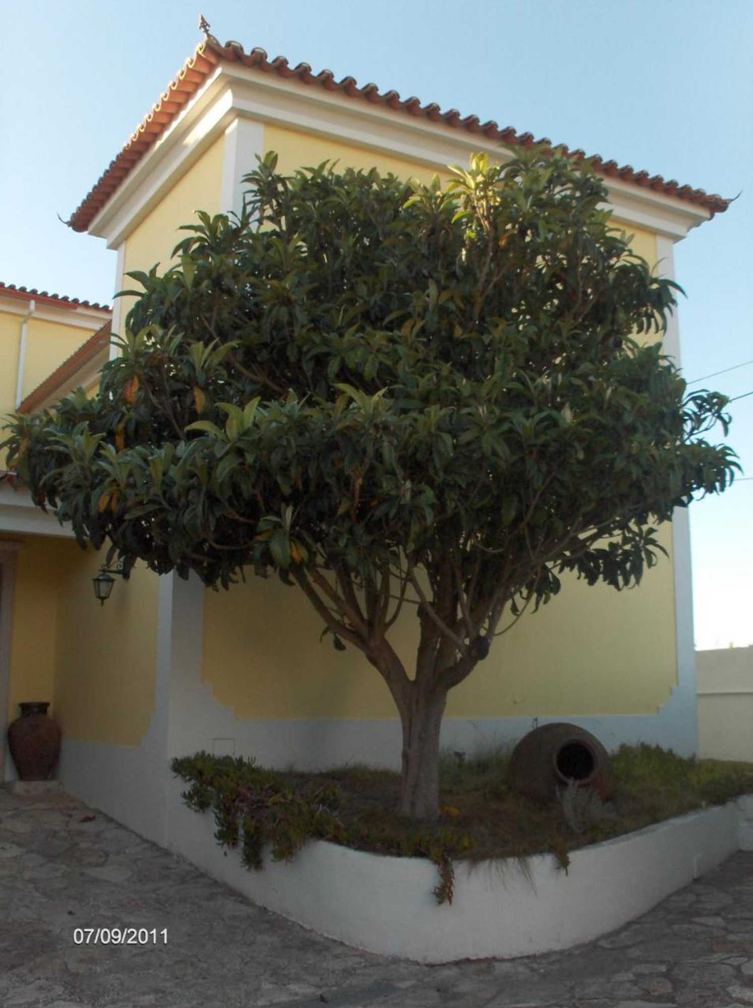 Gift card for Aqc - A Quinta Chama