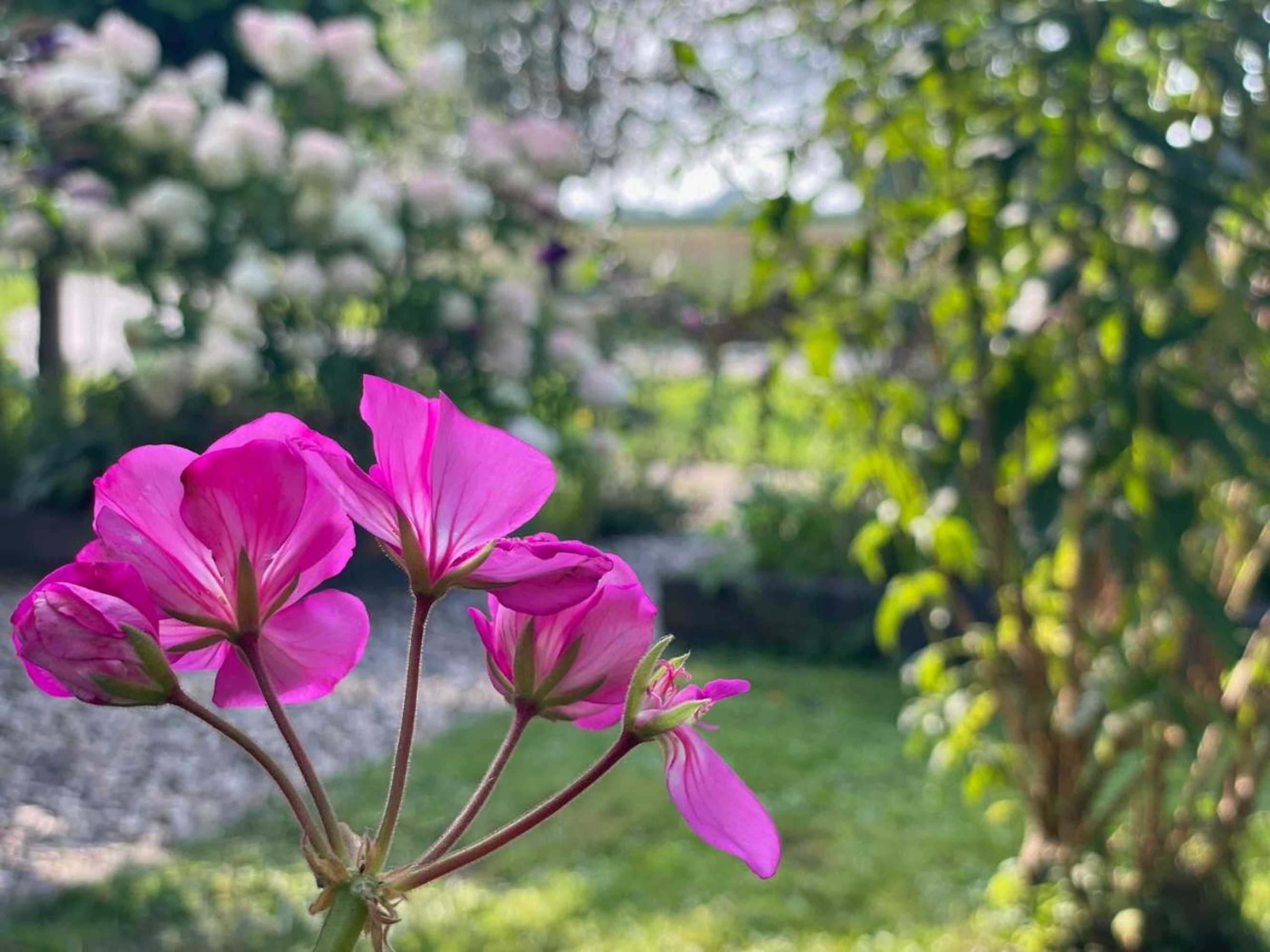 Gift card for Zalk Blijven Slapen