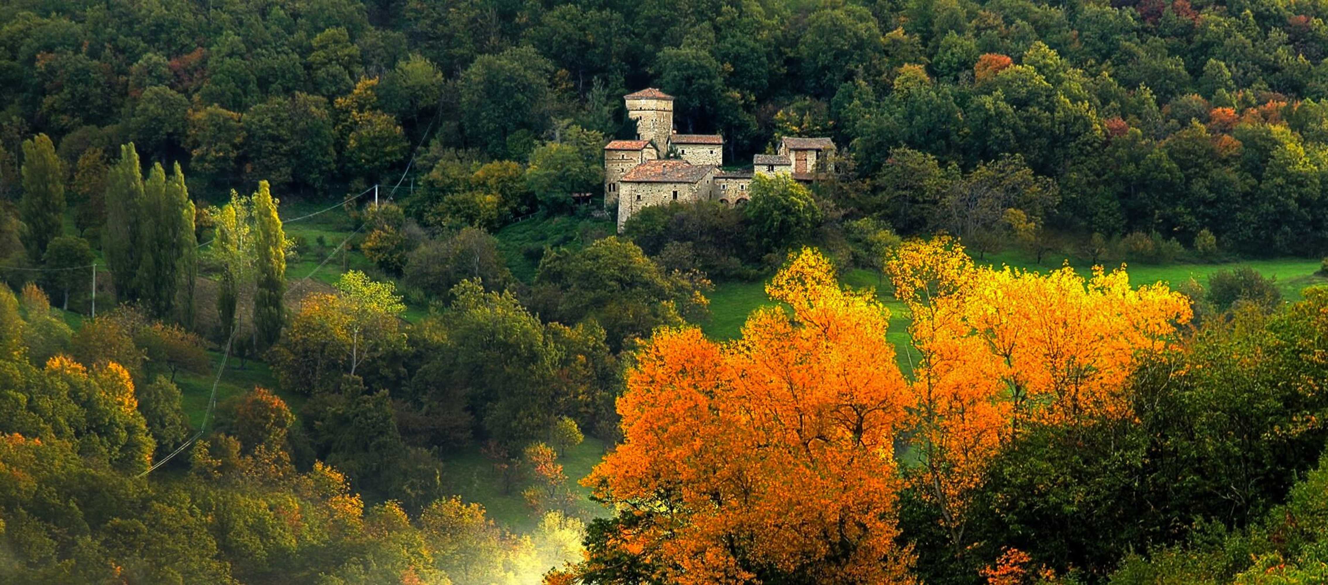 Gift card for Borgo Fontanini Gift card for Borgo Fontanini