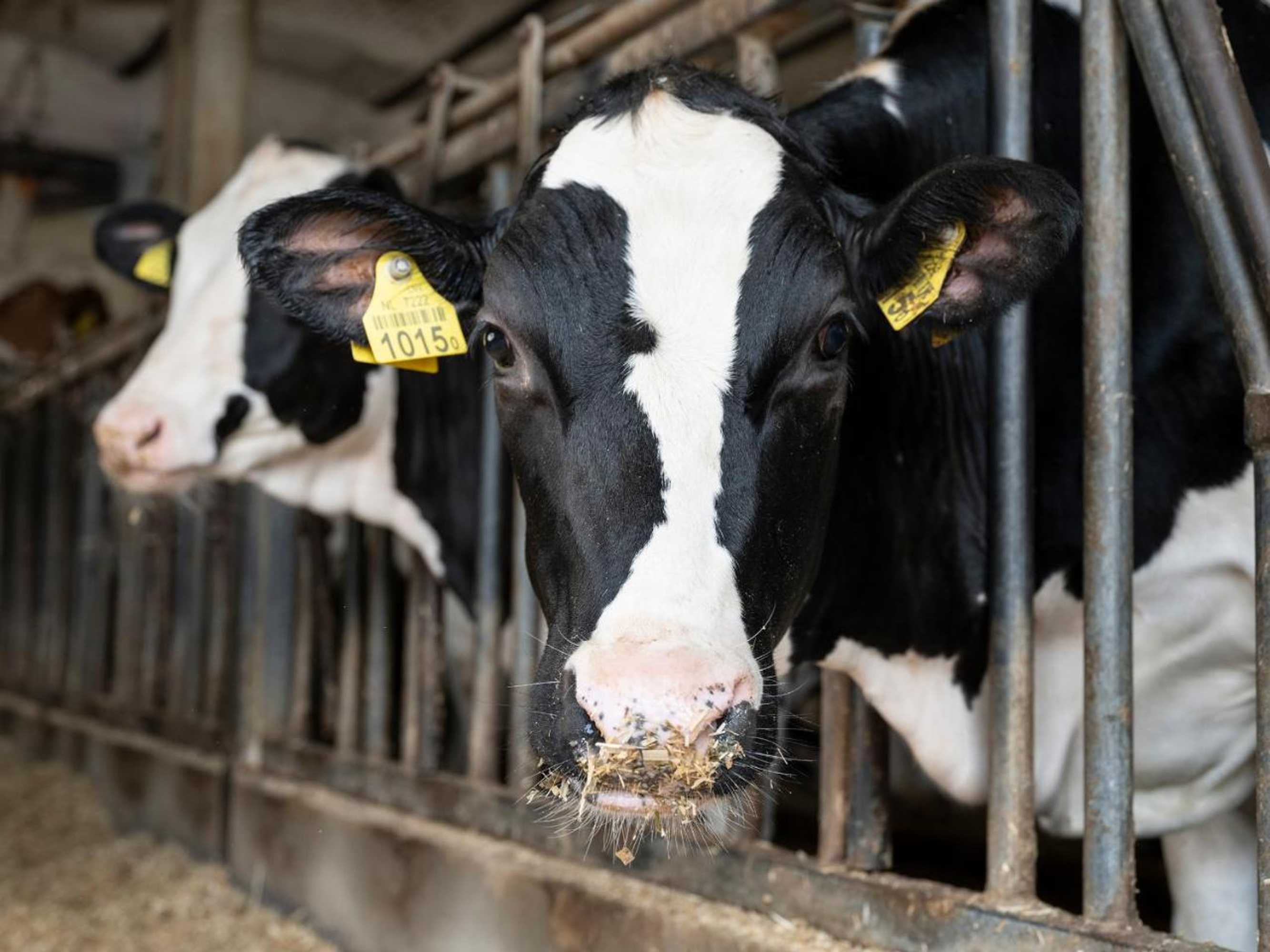 Gift card for Herberg de Brabantse Kluis