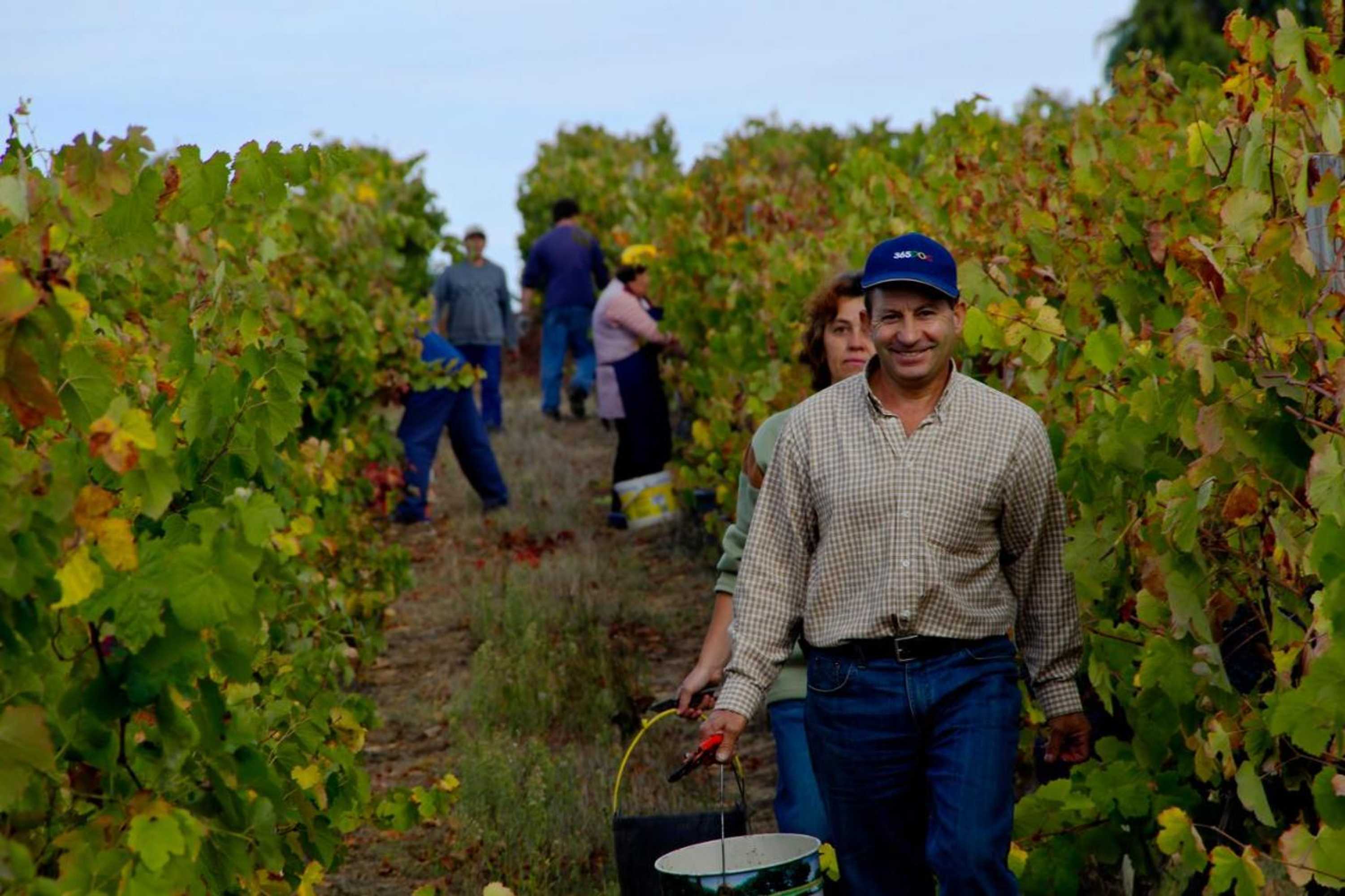 Gift card for Quinta da Fata