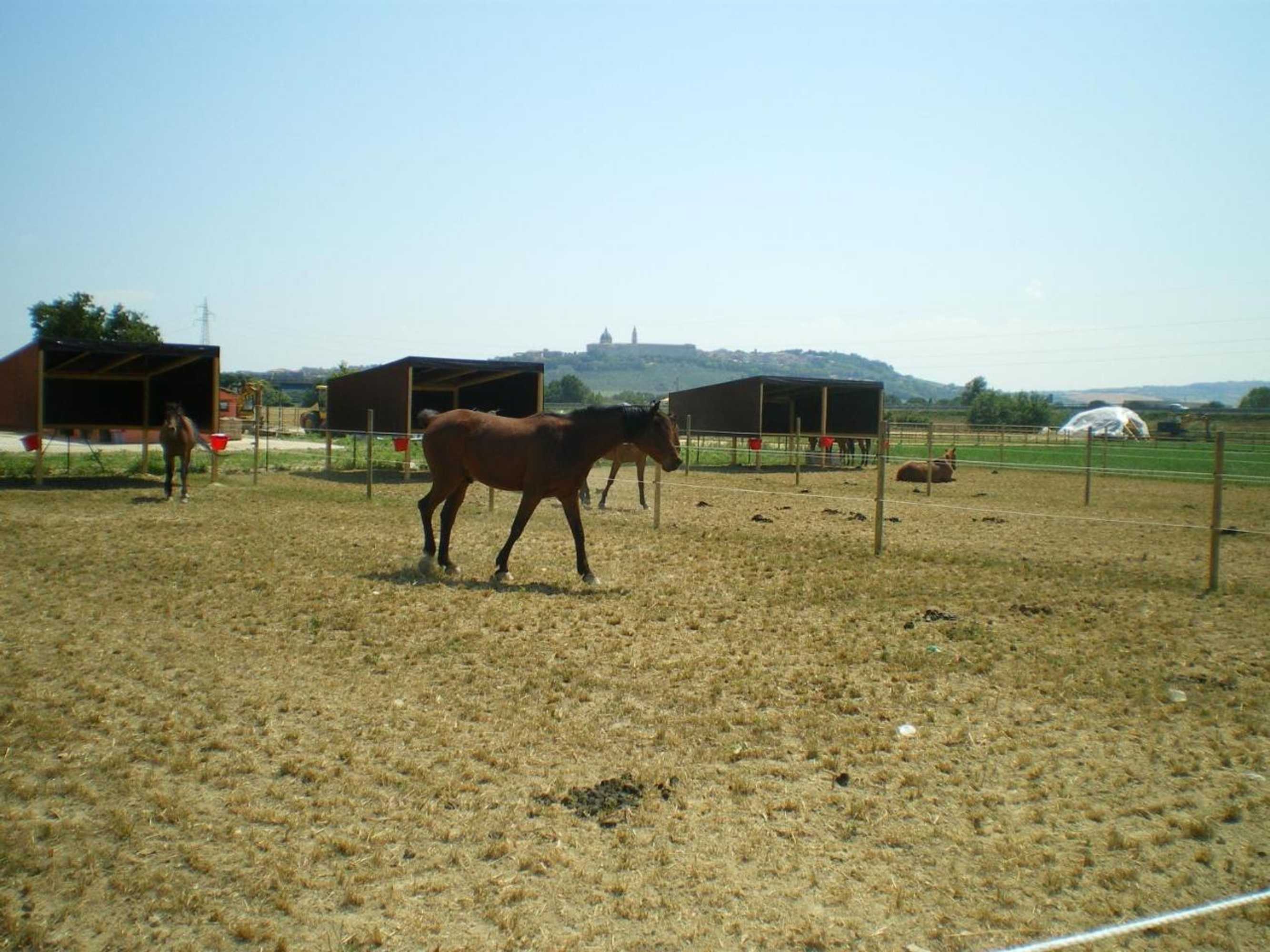 Gift card for Conero Ranch
