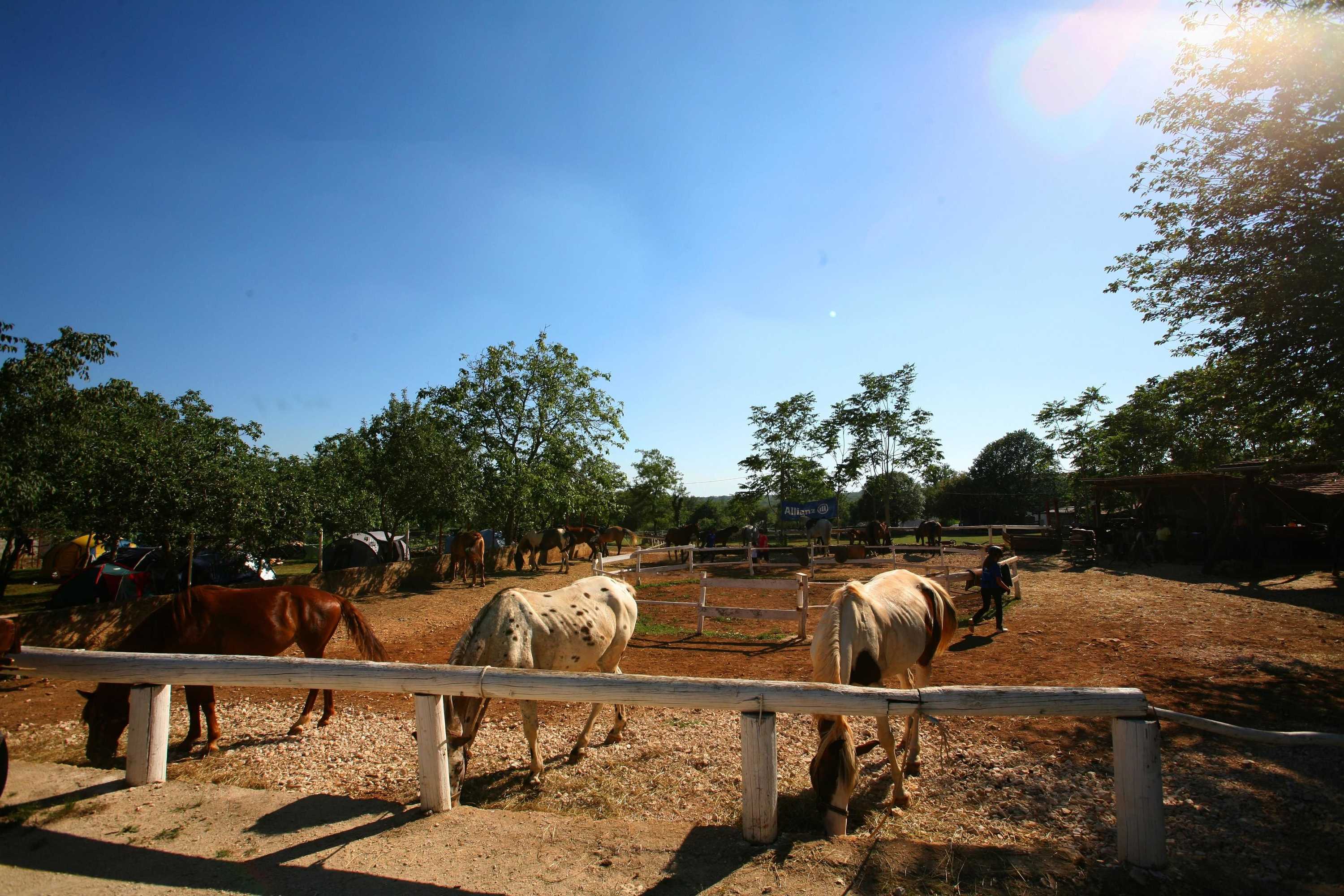 Gift card for Villa Nada Flores