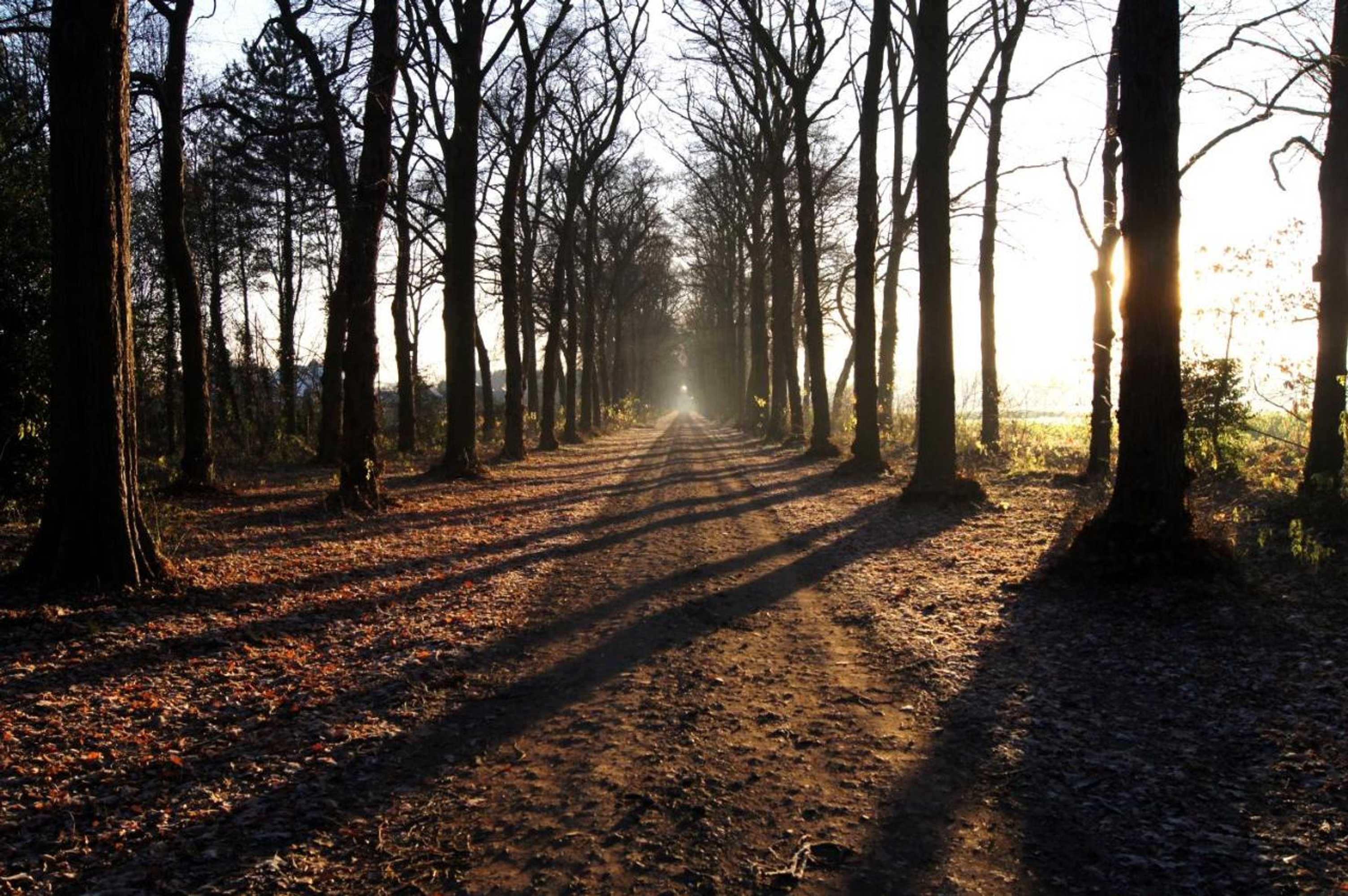 Gift card for B&b Het Wouwe