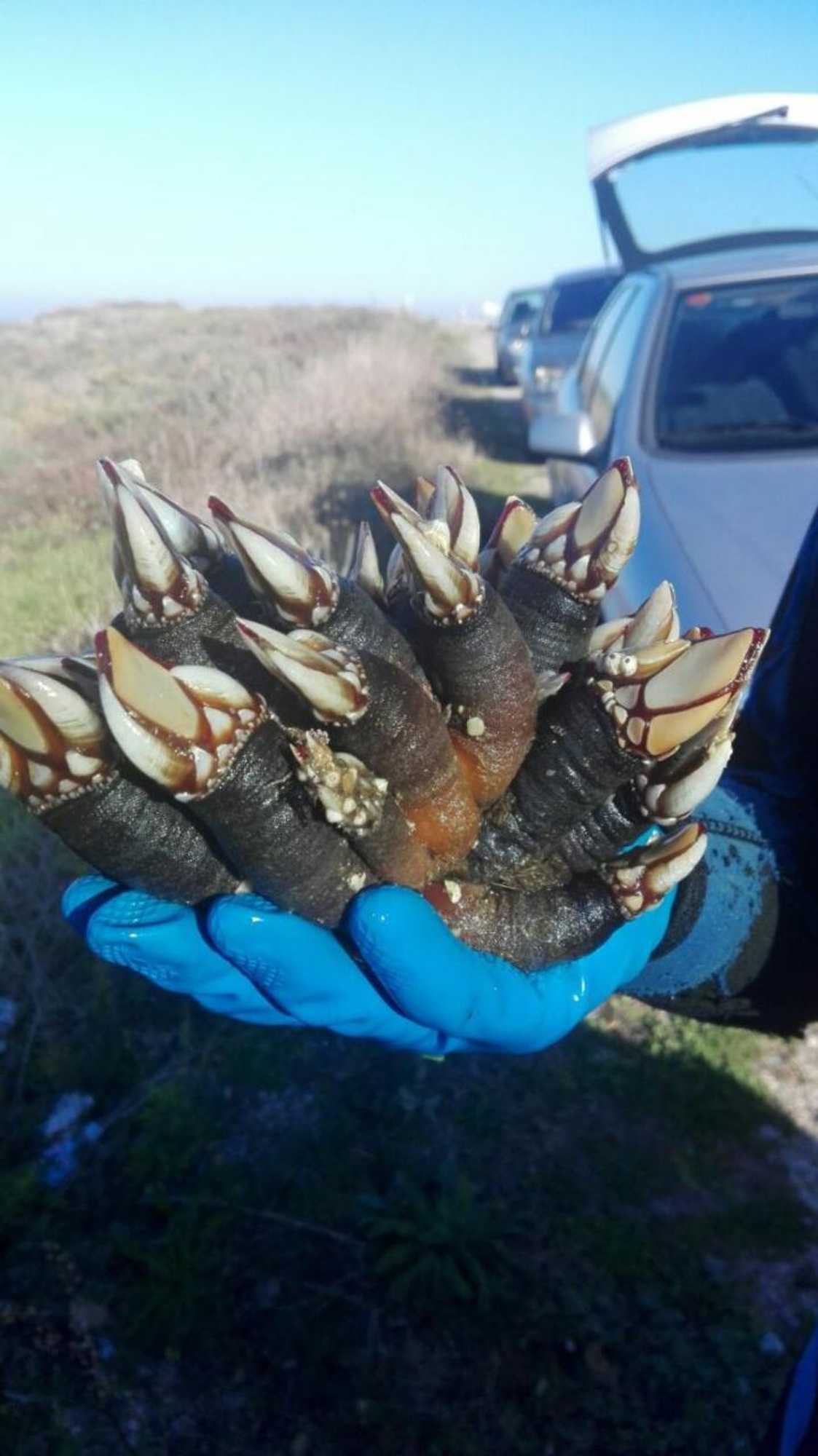 Gift card for Casa Rural Oscar