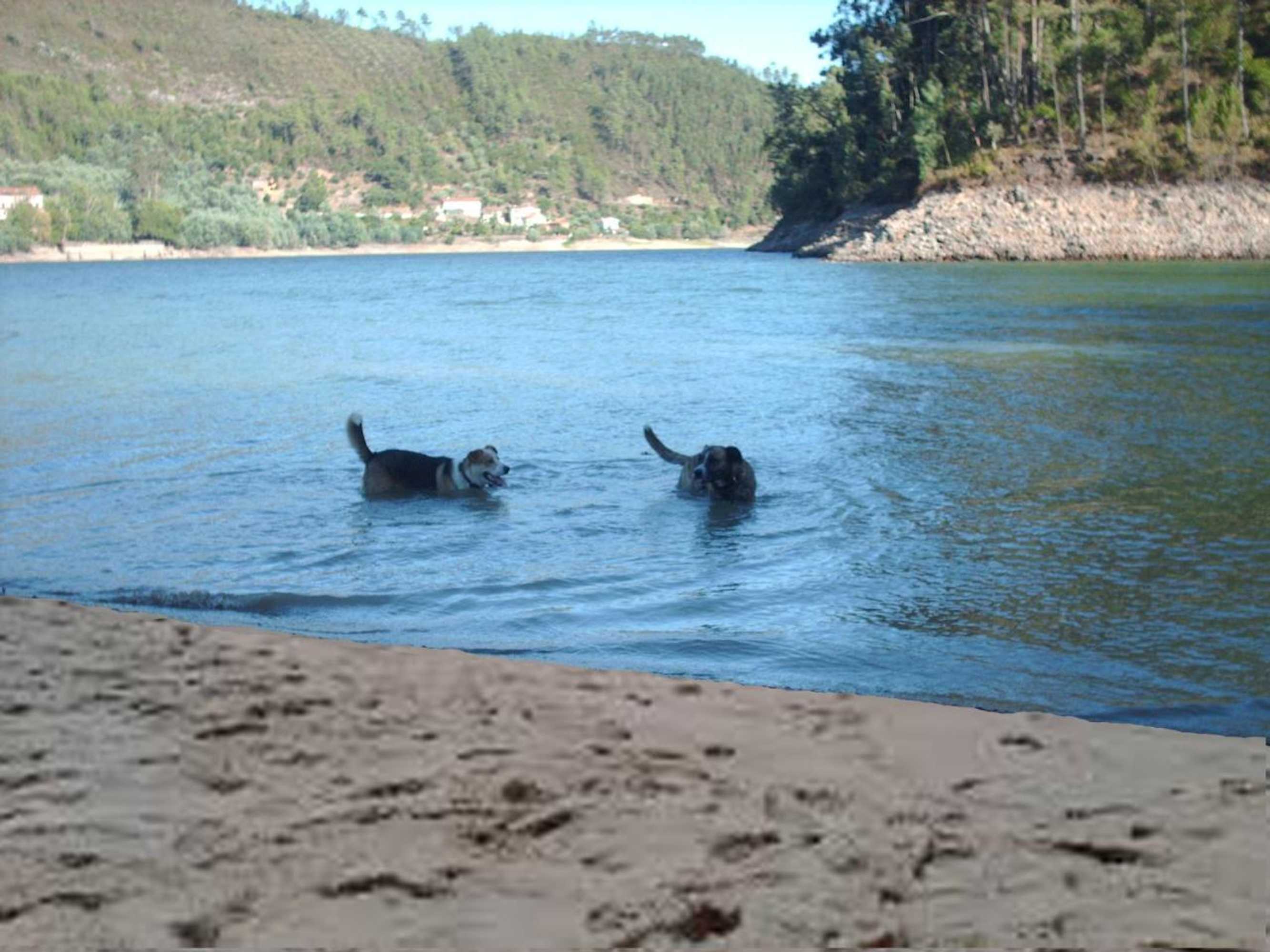 Gift card for Chão da Lousa