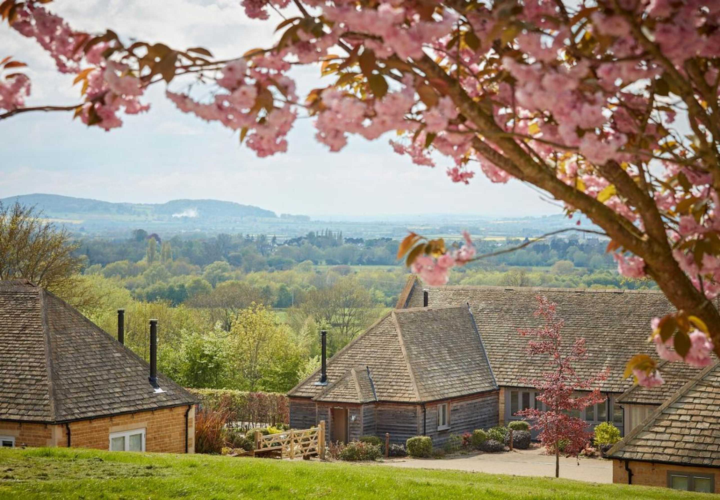 Gift card for The Fish Hotel