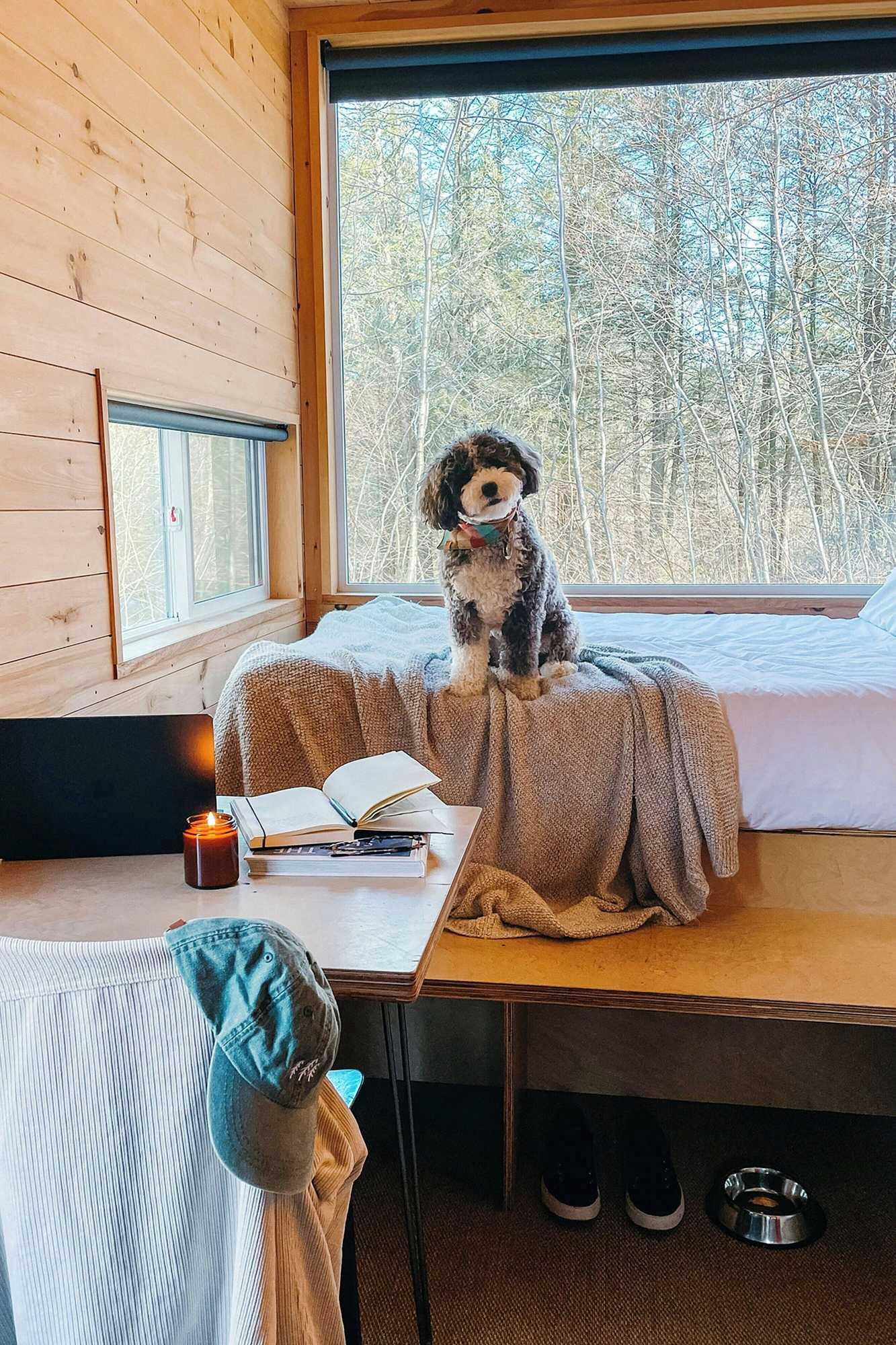 Gift card for Postcard Cabins Eastern Catskills, Outdoor Collection by Marriott Bonvoy