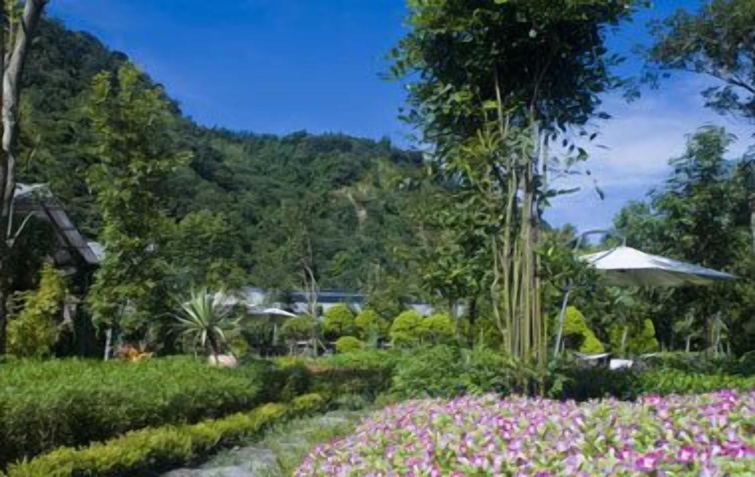 Gift card for Tai Yi Red Maple Resort Gift card for Tai Yi Red Maple Resort
