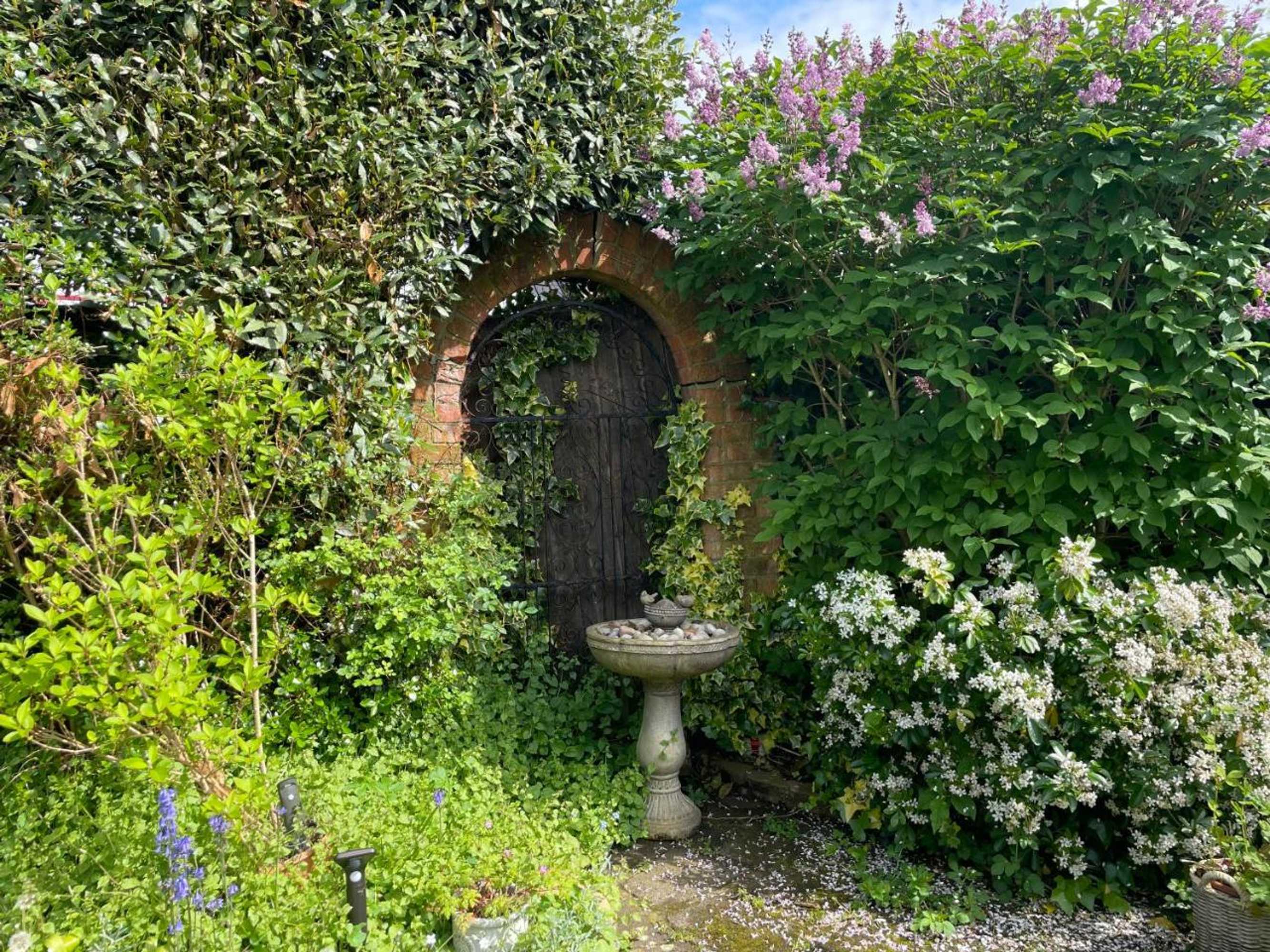 Gift card for Clay Farm Guest House