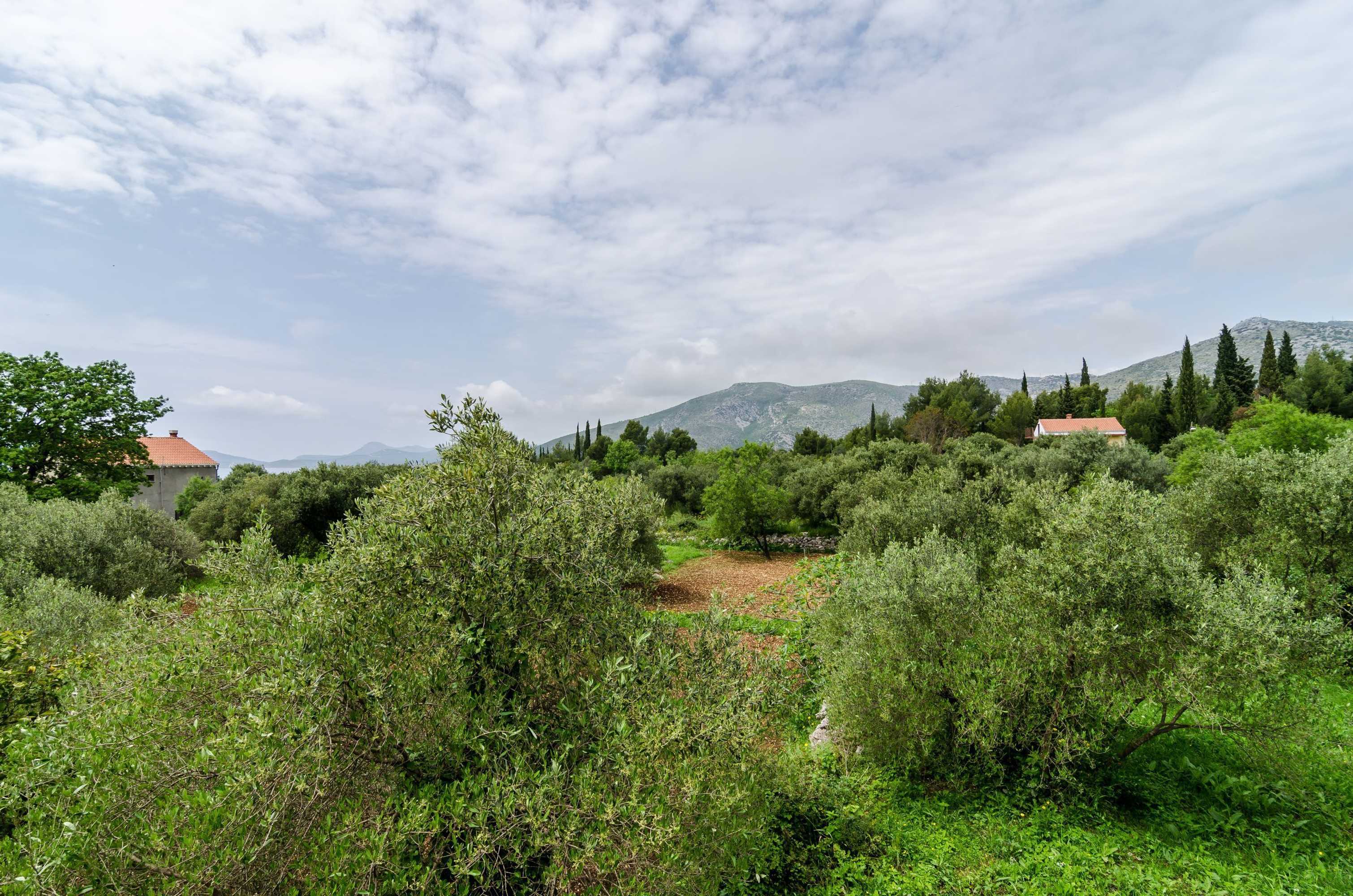 Gift card for GH Kola