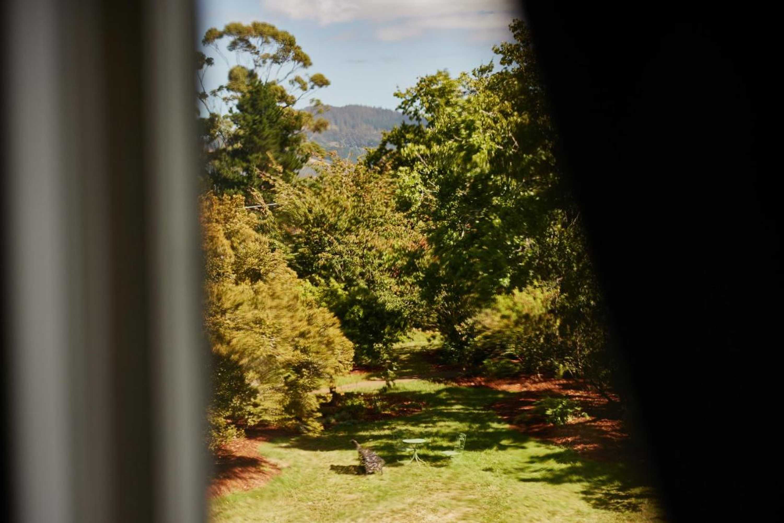 Gift card for Clifton Homestead