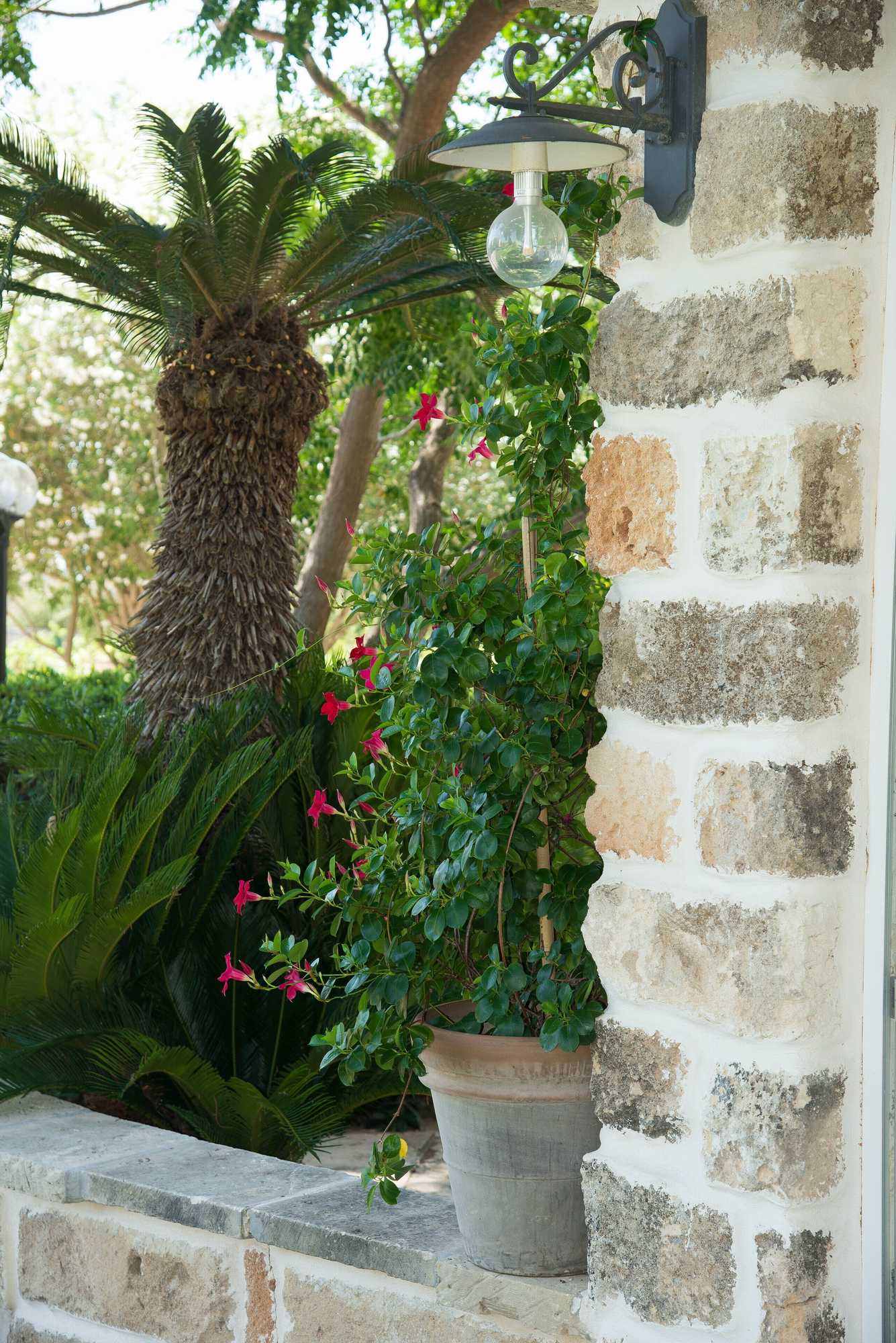 Gift card for Dimora Del Duca Masseria B&b Gift card for Dimora Del Duca Masseria B&b