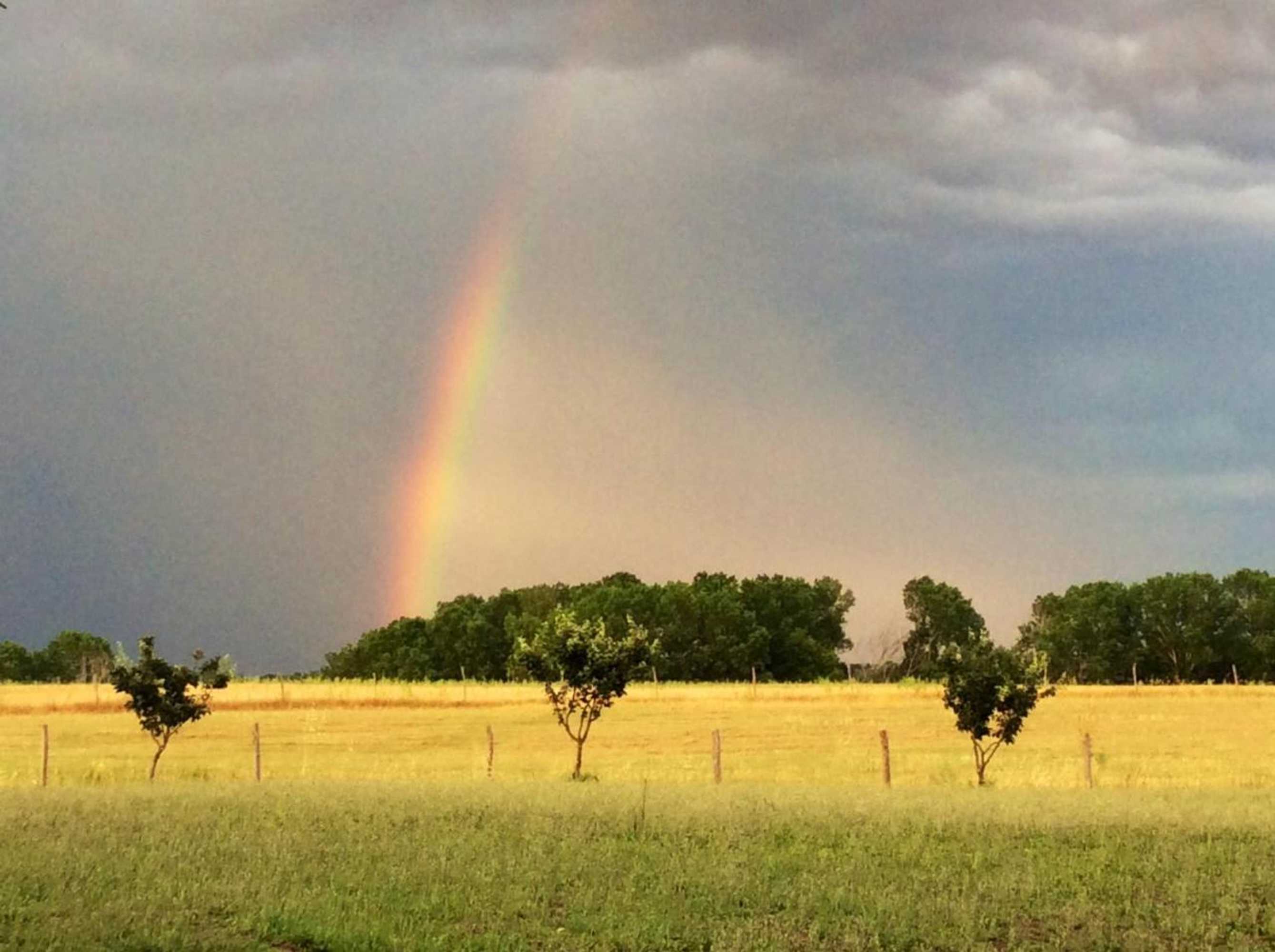 Gift card for At Home In Maremma