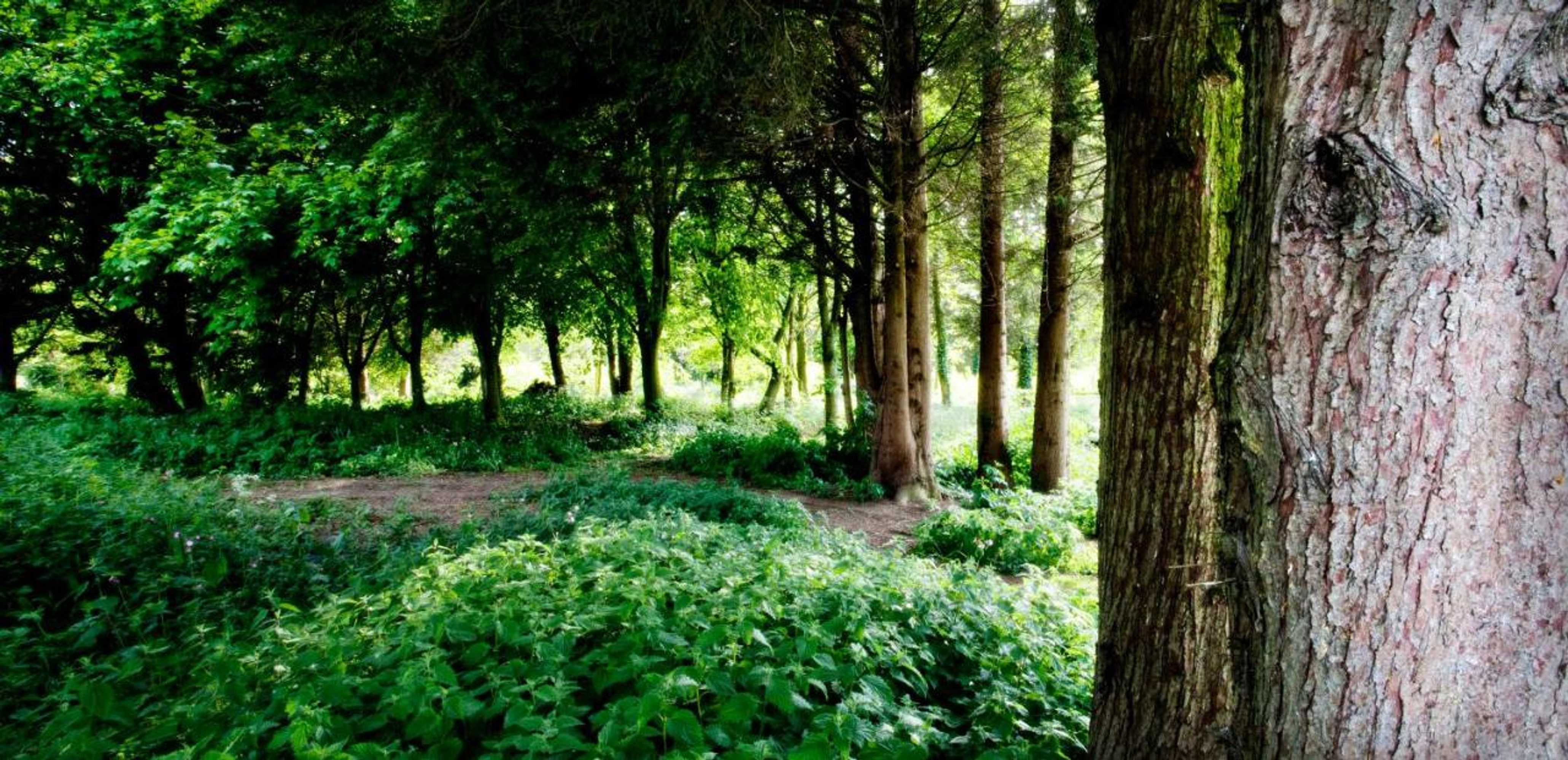 Gift card for Lakeview Holiday Cottages