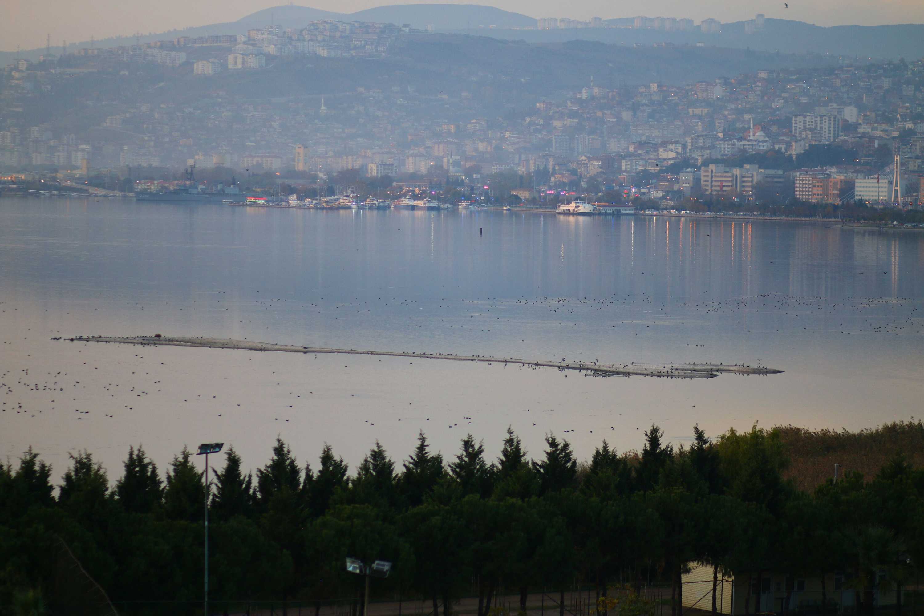 Gift card for Emexotel Kocaeli Gift card for Emexotel Kocaeli