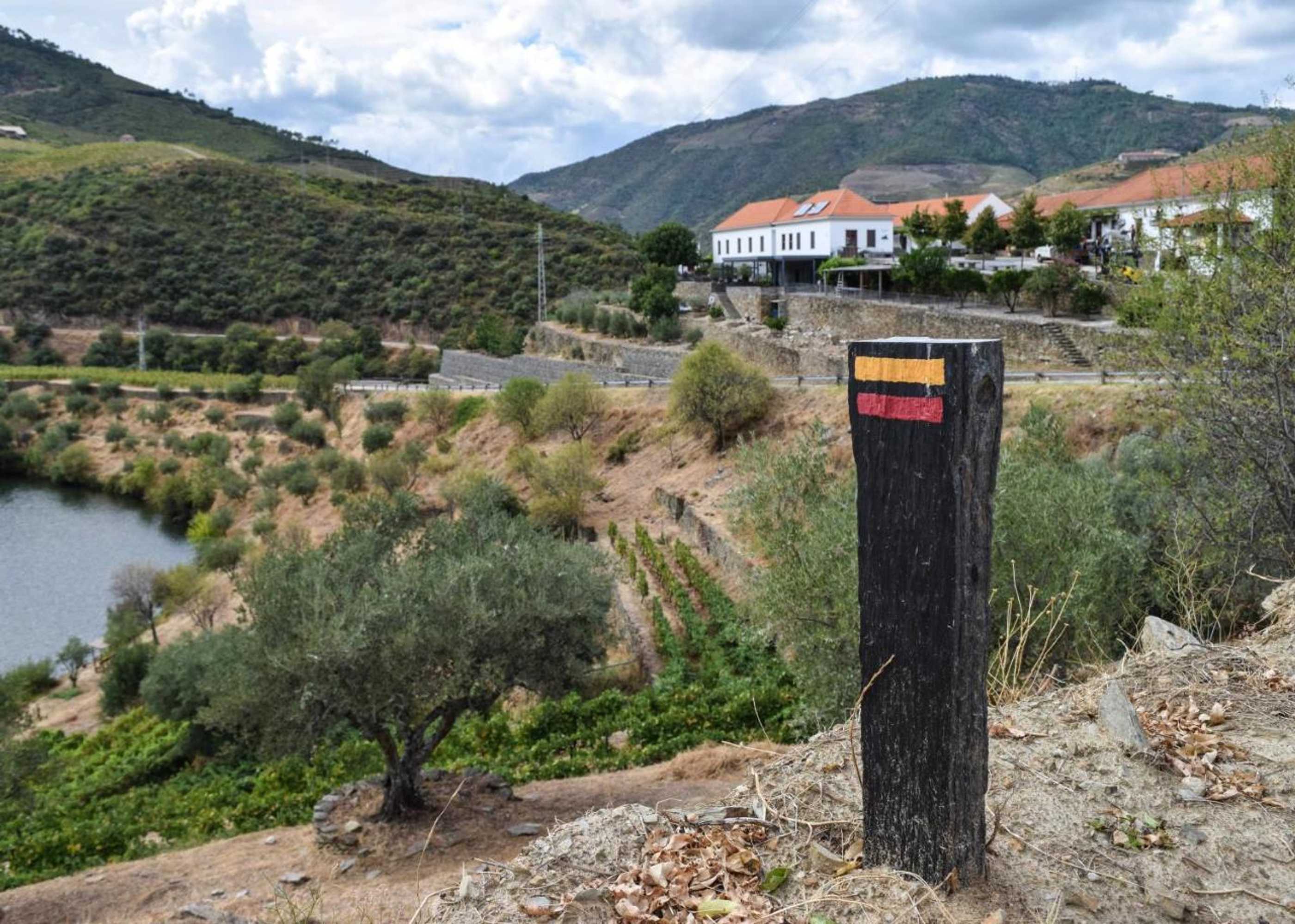 Gift card for Quinta do Tedo