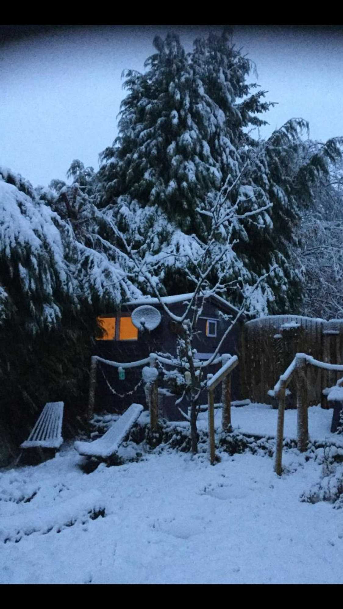 Gift card for Cherryberry Lodges