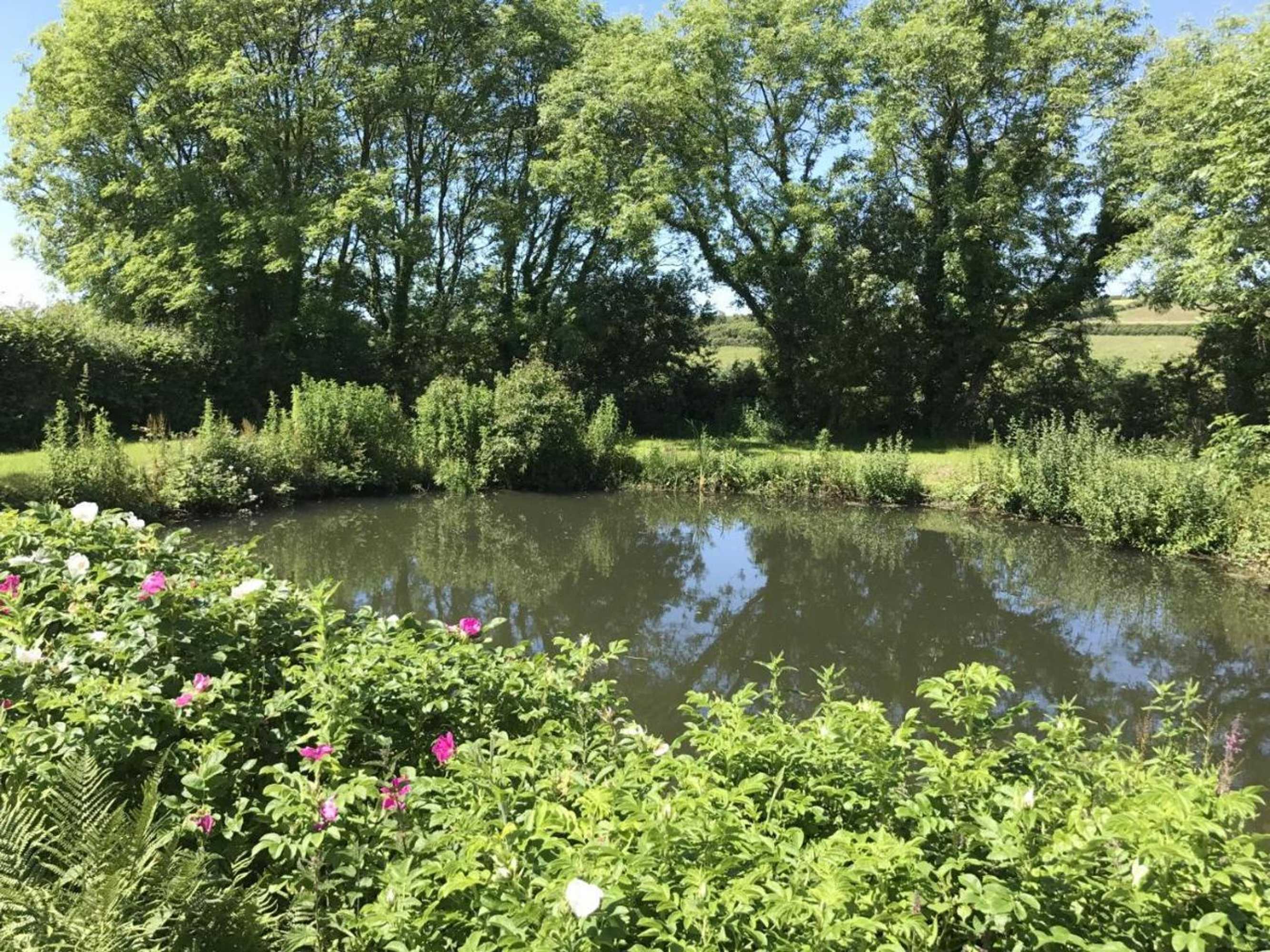 Gift card for Shippon