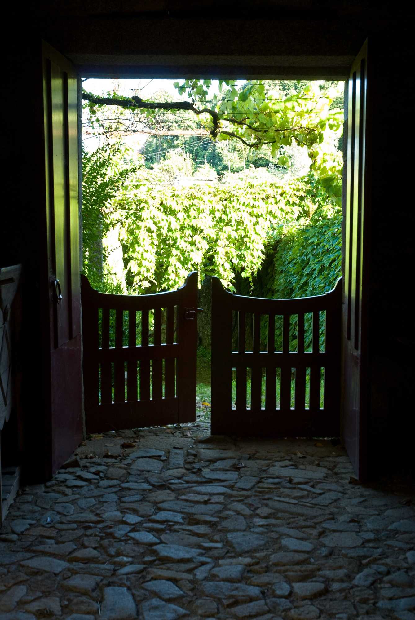 Gift card for Quinta da Picaria