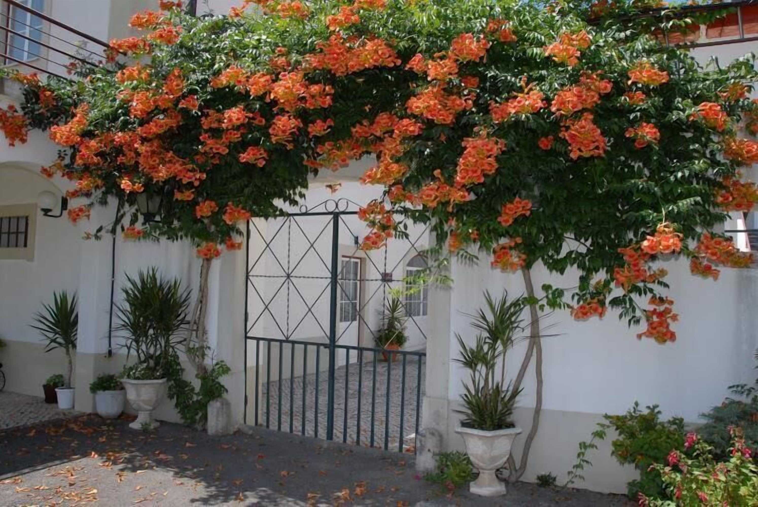 Gift card for Quinta do Viso