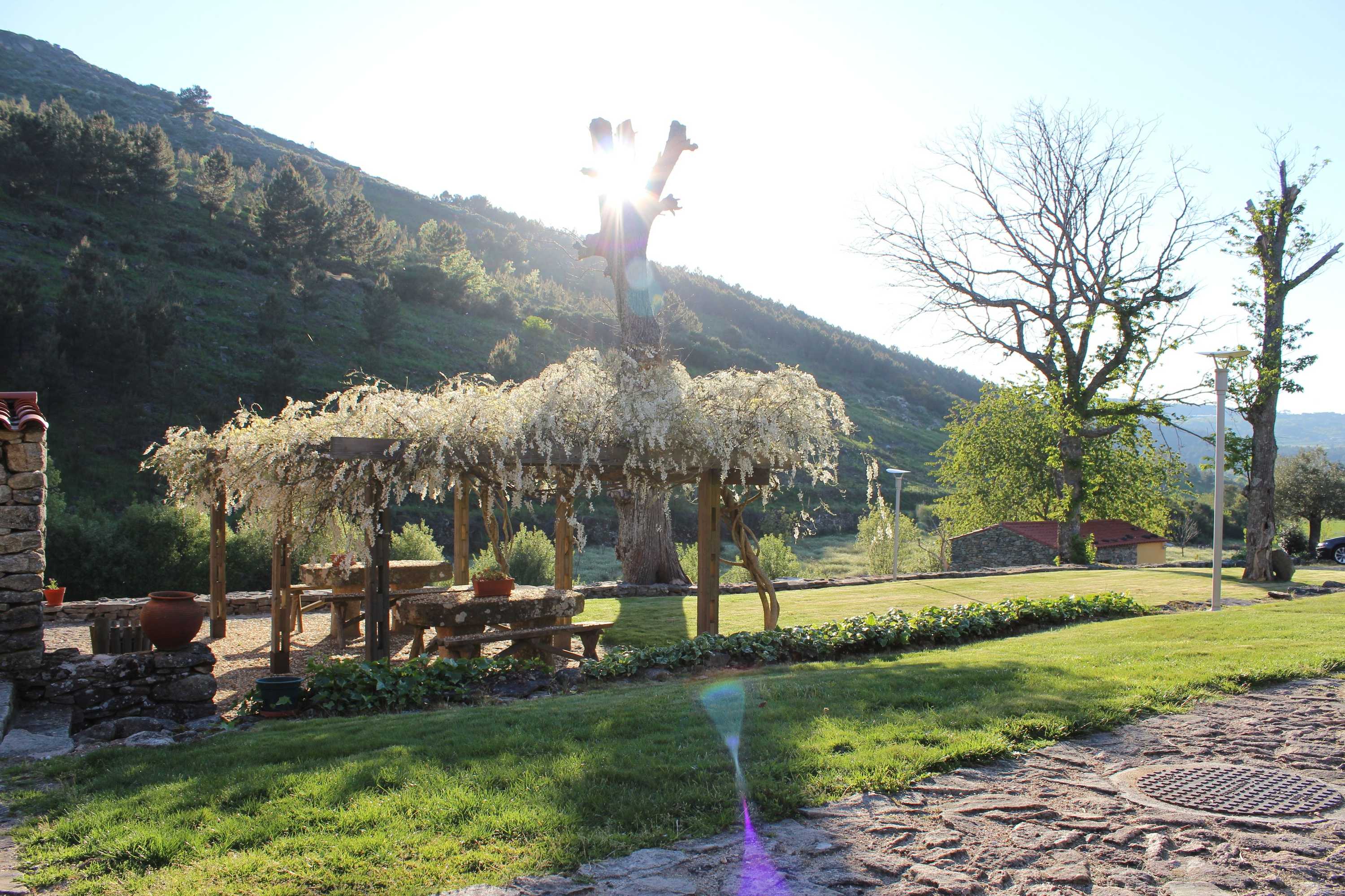 Gift card for Moinhos da Tia Antoninha