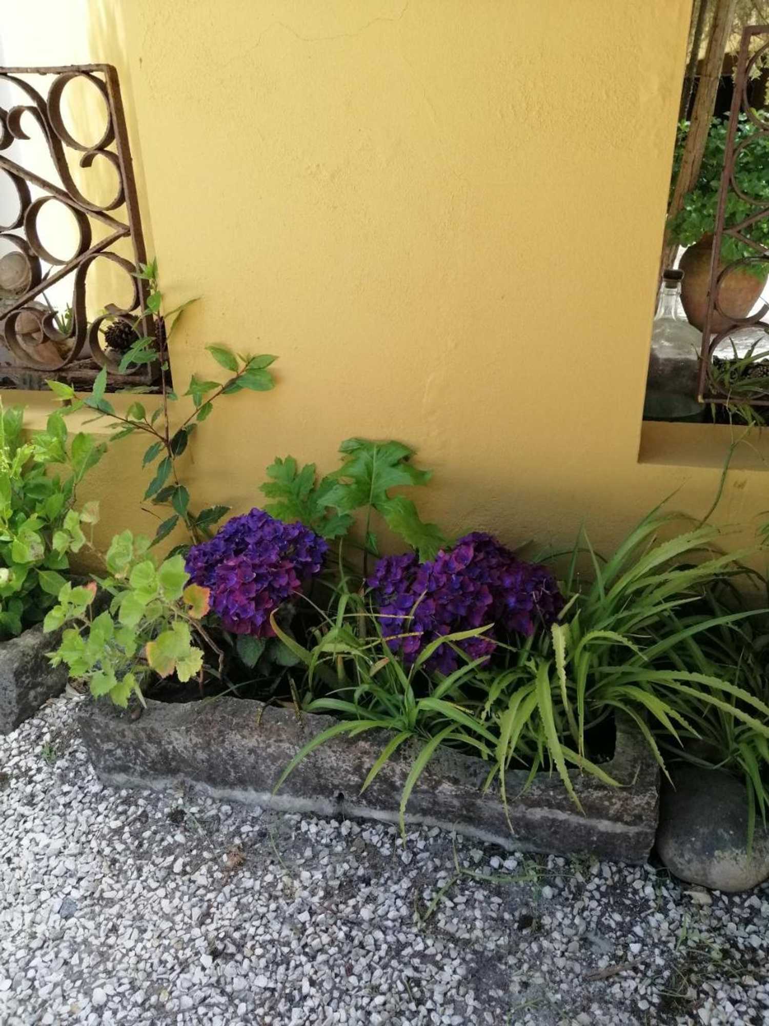 Gift card for Casa De Campo Colmeal