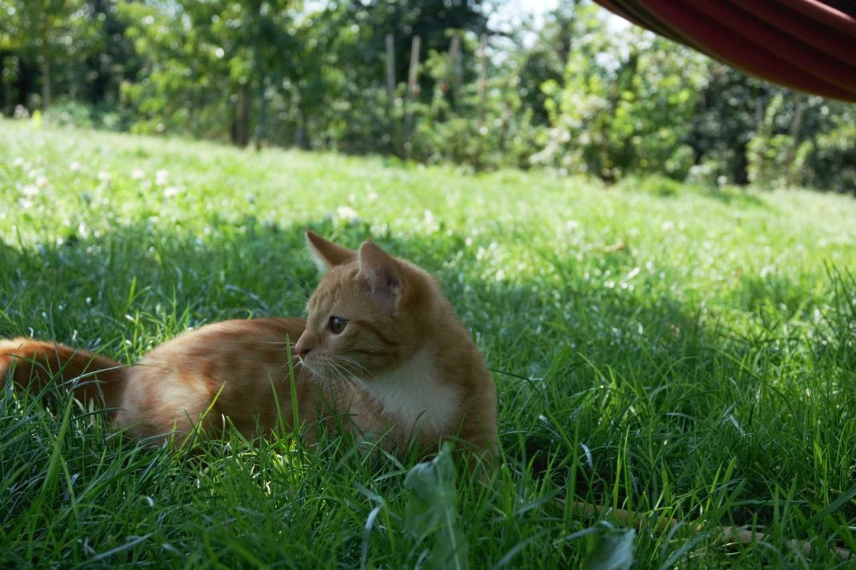 Gift card for Höhlerhof