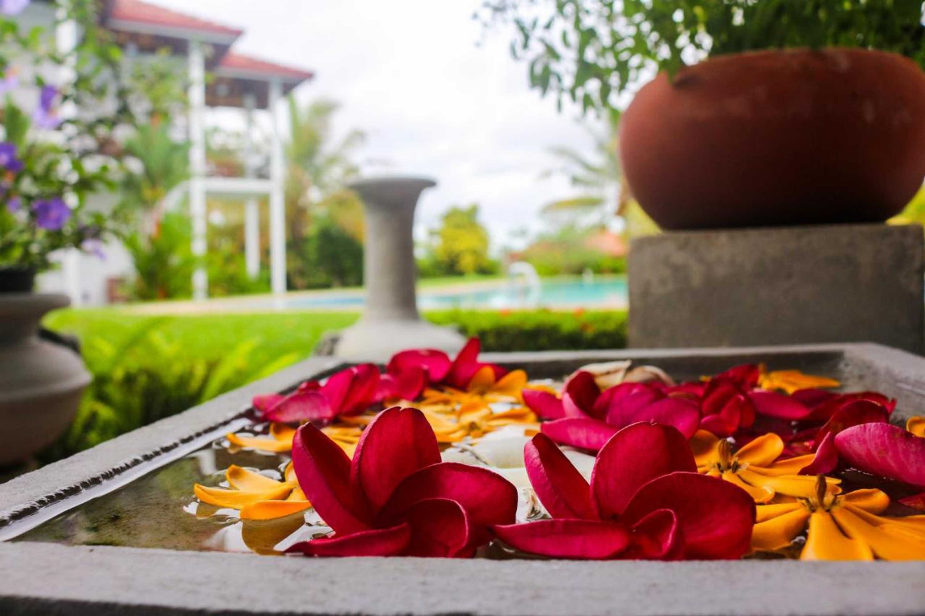 Gift card for Silent Garden Ayurveda Health Resort