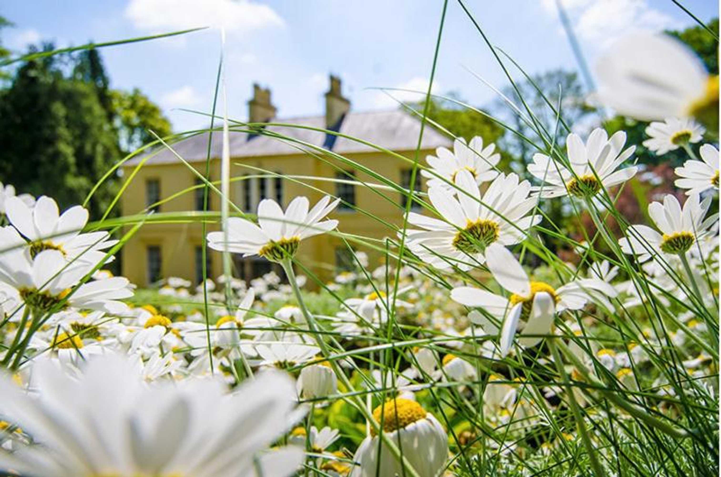 Gift card for Nutgrove House Luxury B&b