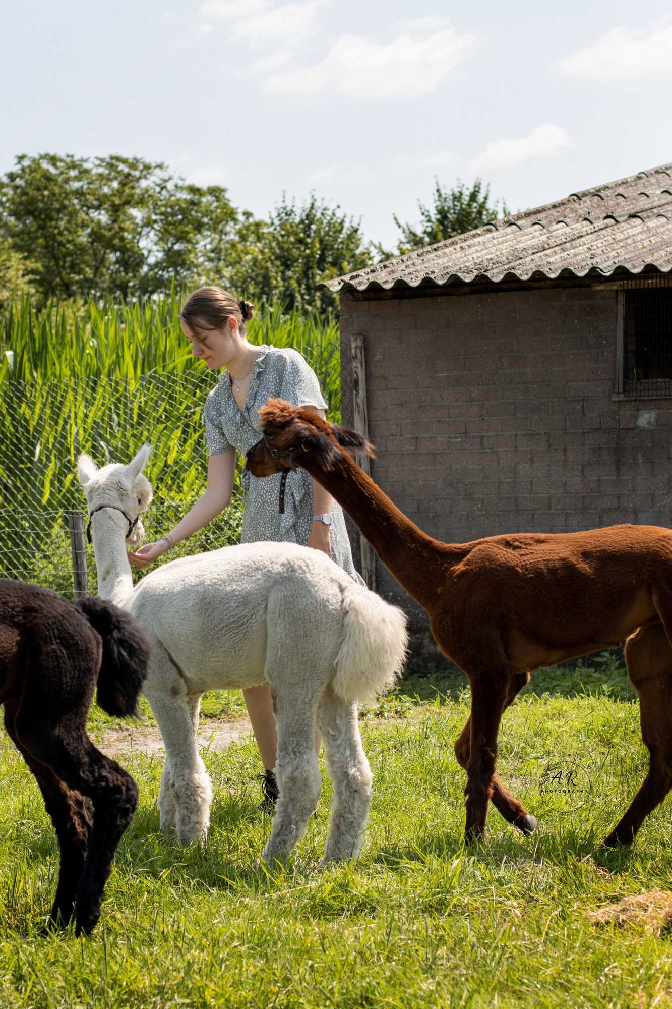 Gift card for Boutique Hotel Lytel Blue