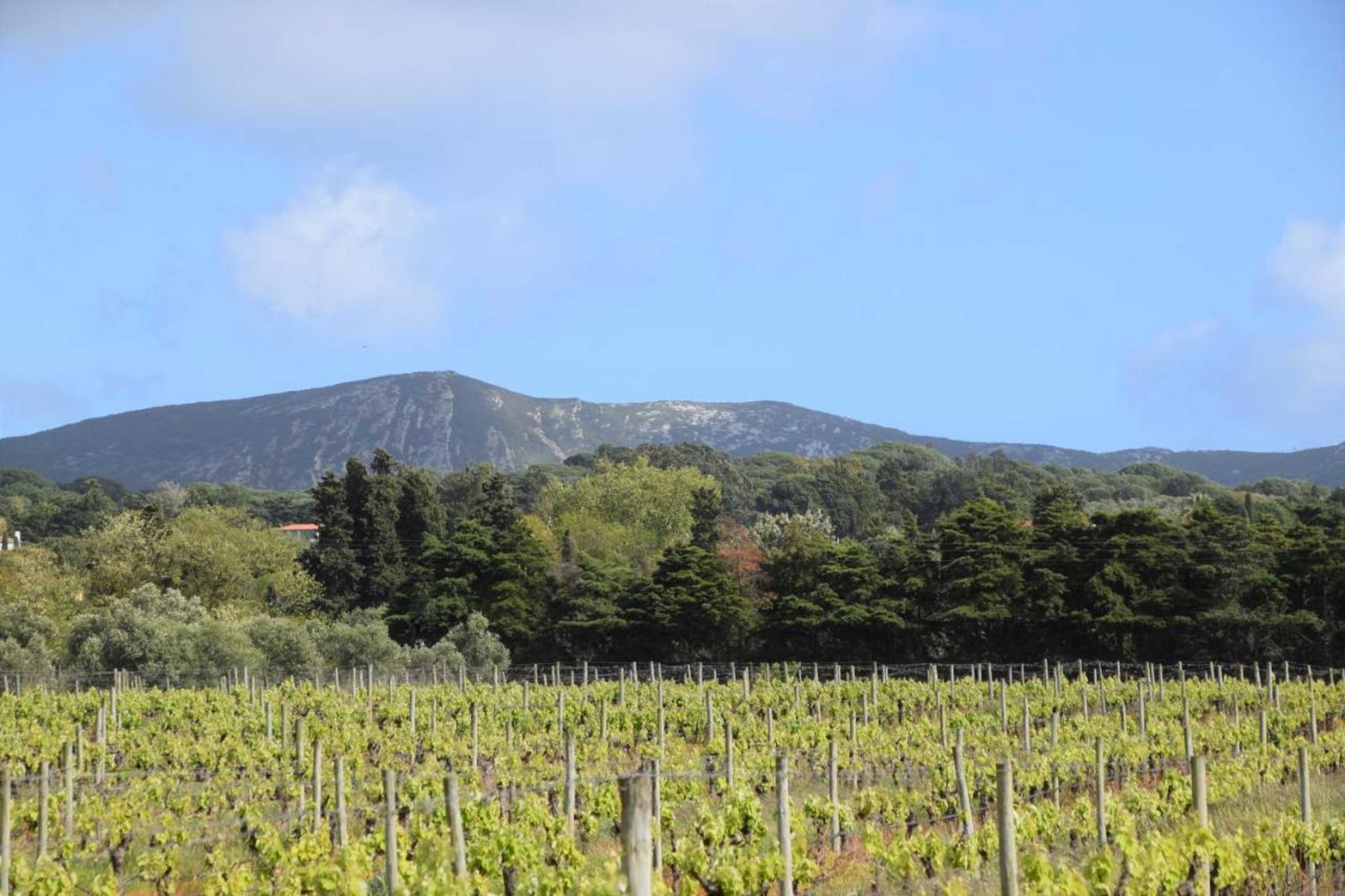 Gift card for Quinta De Catralvos