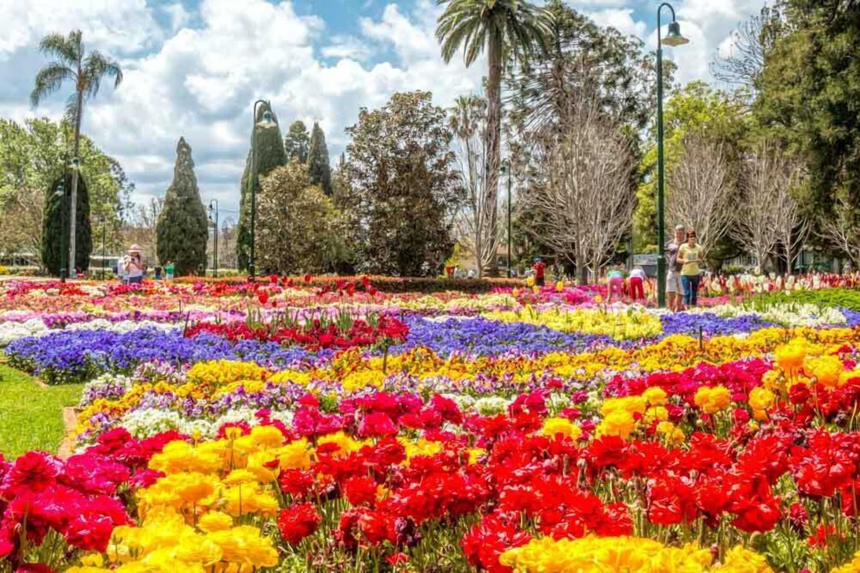 Gift card for Motel Glenworth Toowoomba Gift card for Motel Glenworth Toowoomba