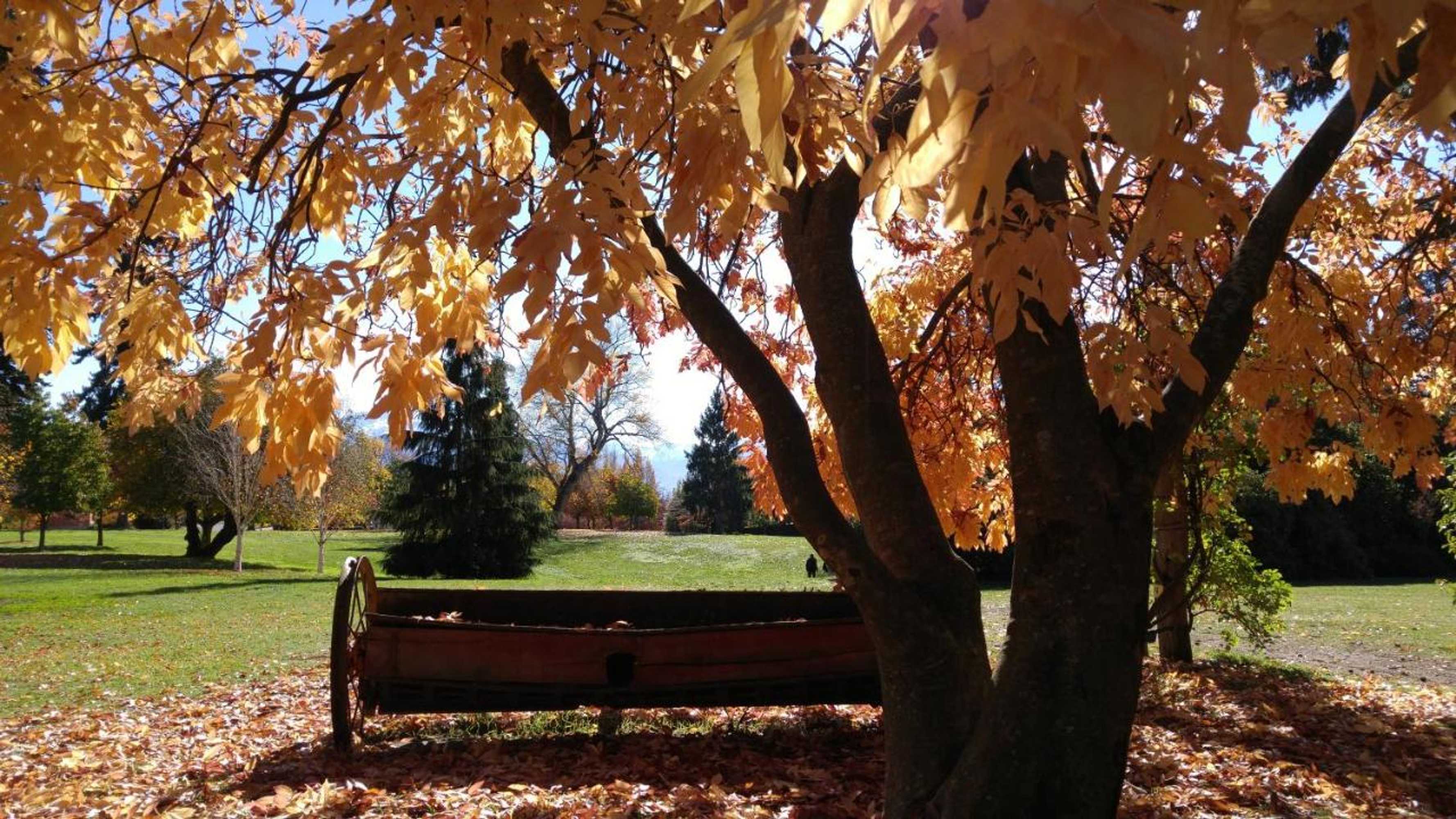 Gift card for Zula Lodge And Backpackers Gift card for Zula Lodge And Backpackers