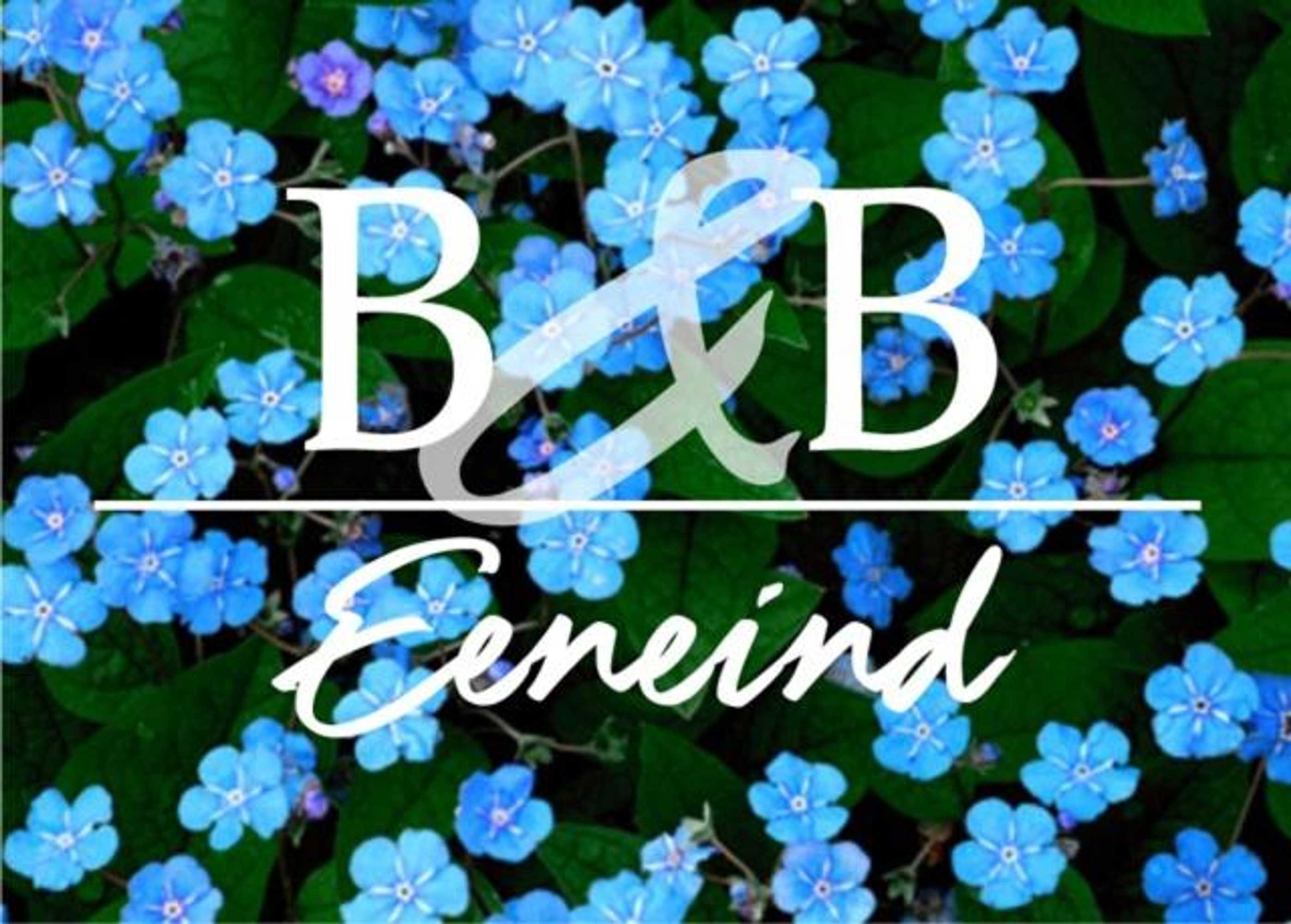 Gift card for B&b Eeneind