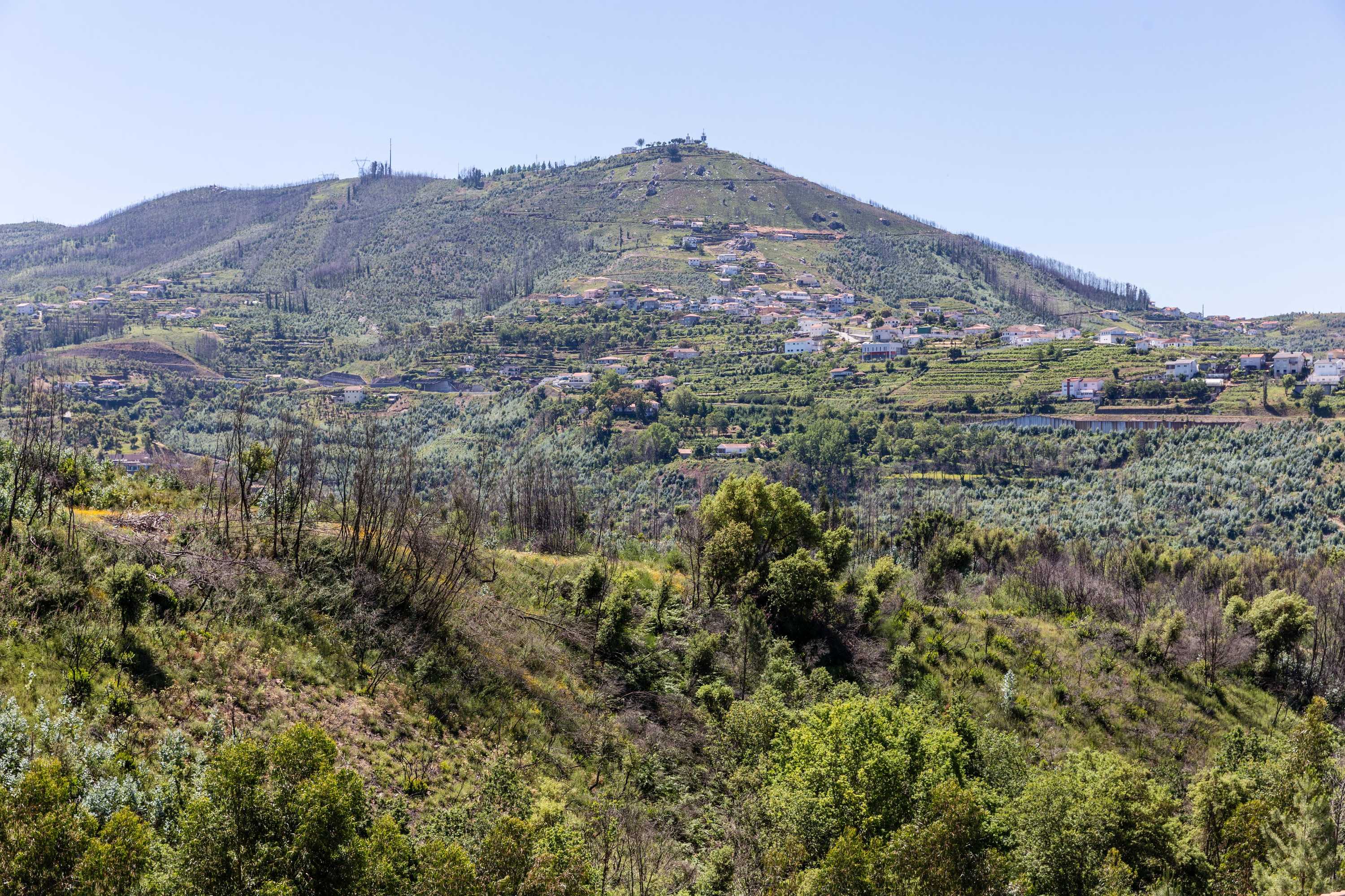 Gift card for Casa do Rio