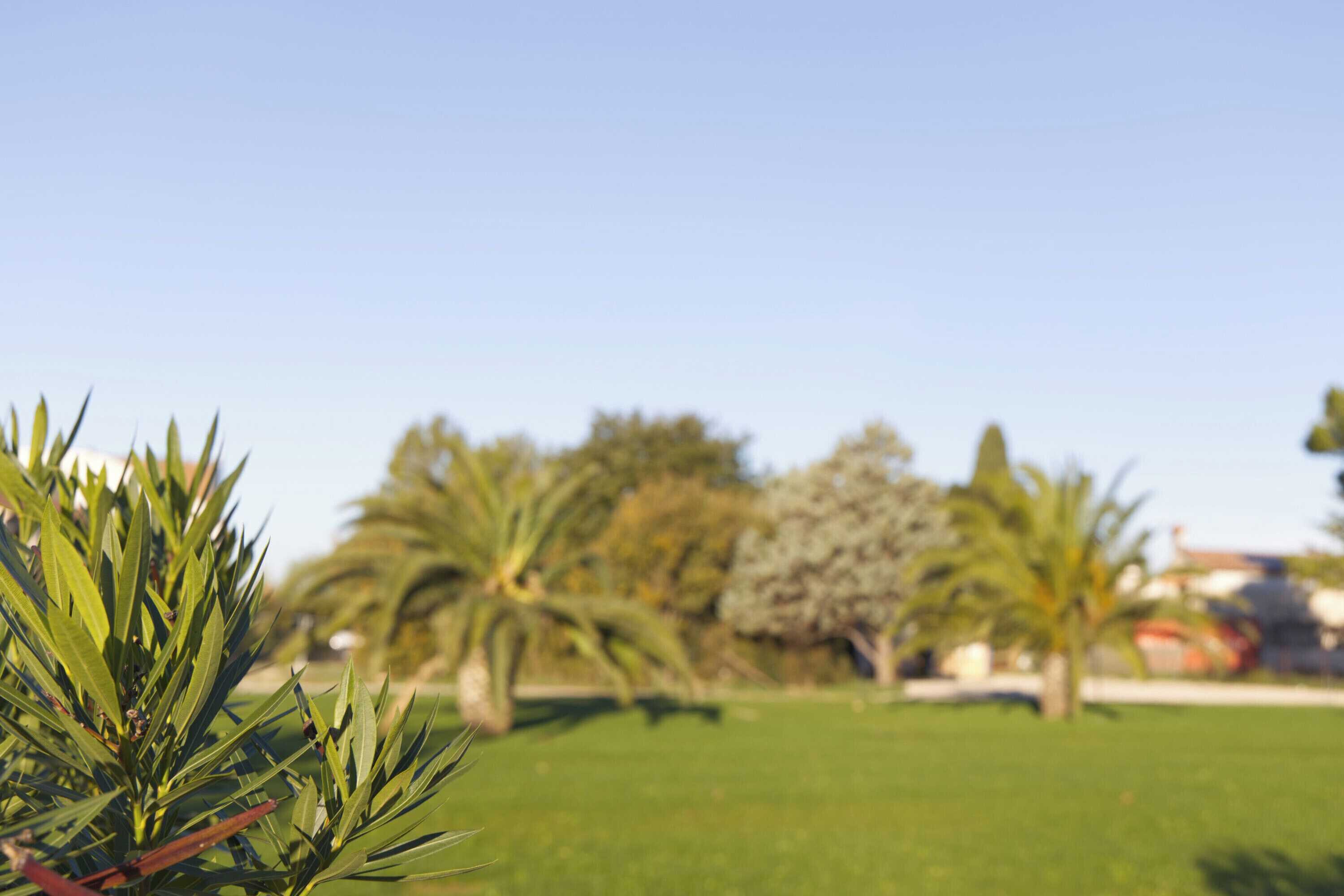 Gift card for Visula Hotel & Spa