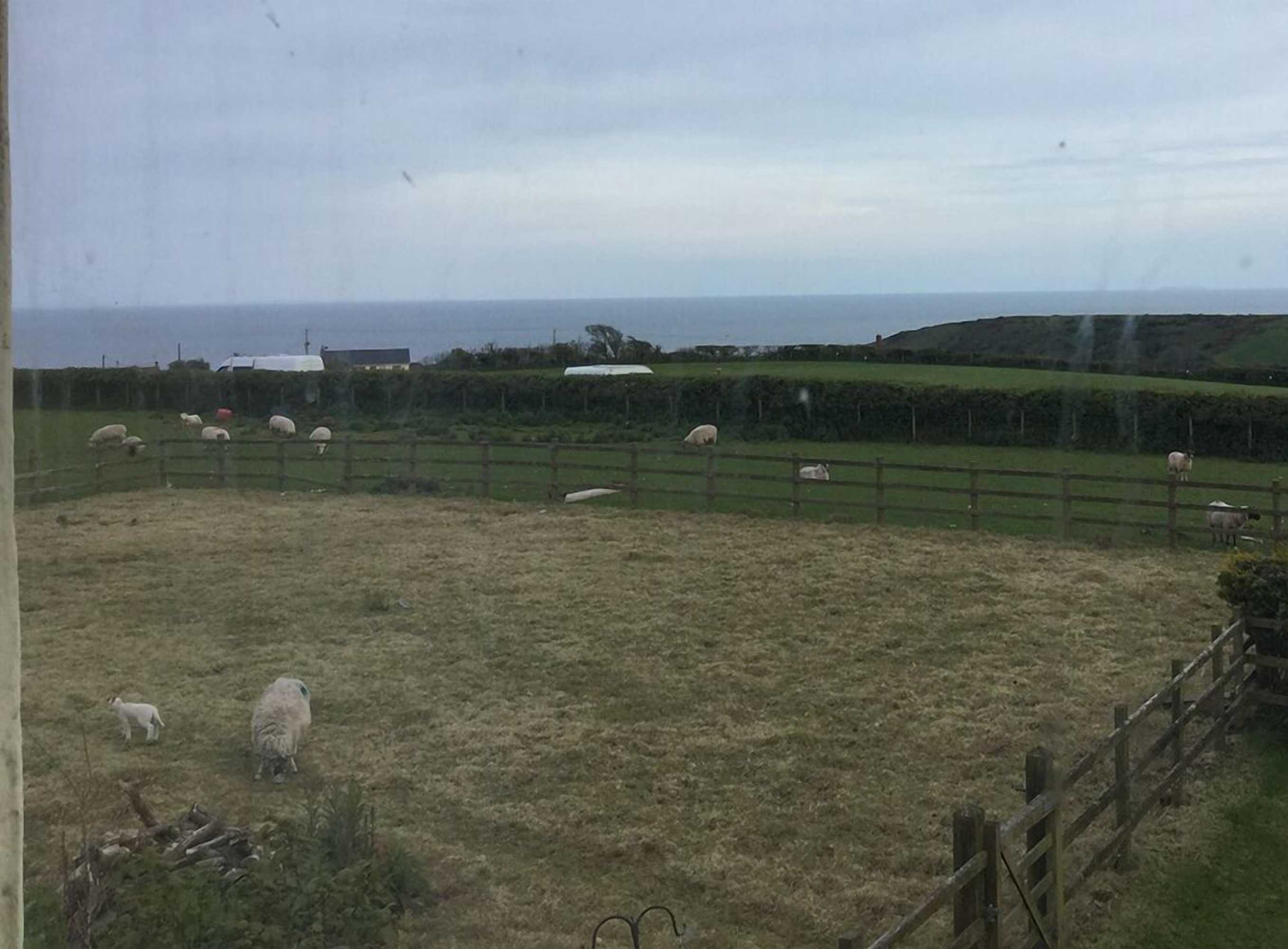 Gift card for The Burrows Bed And Breakfast