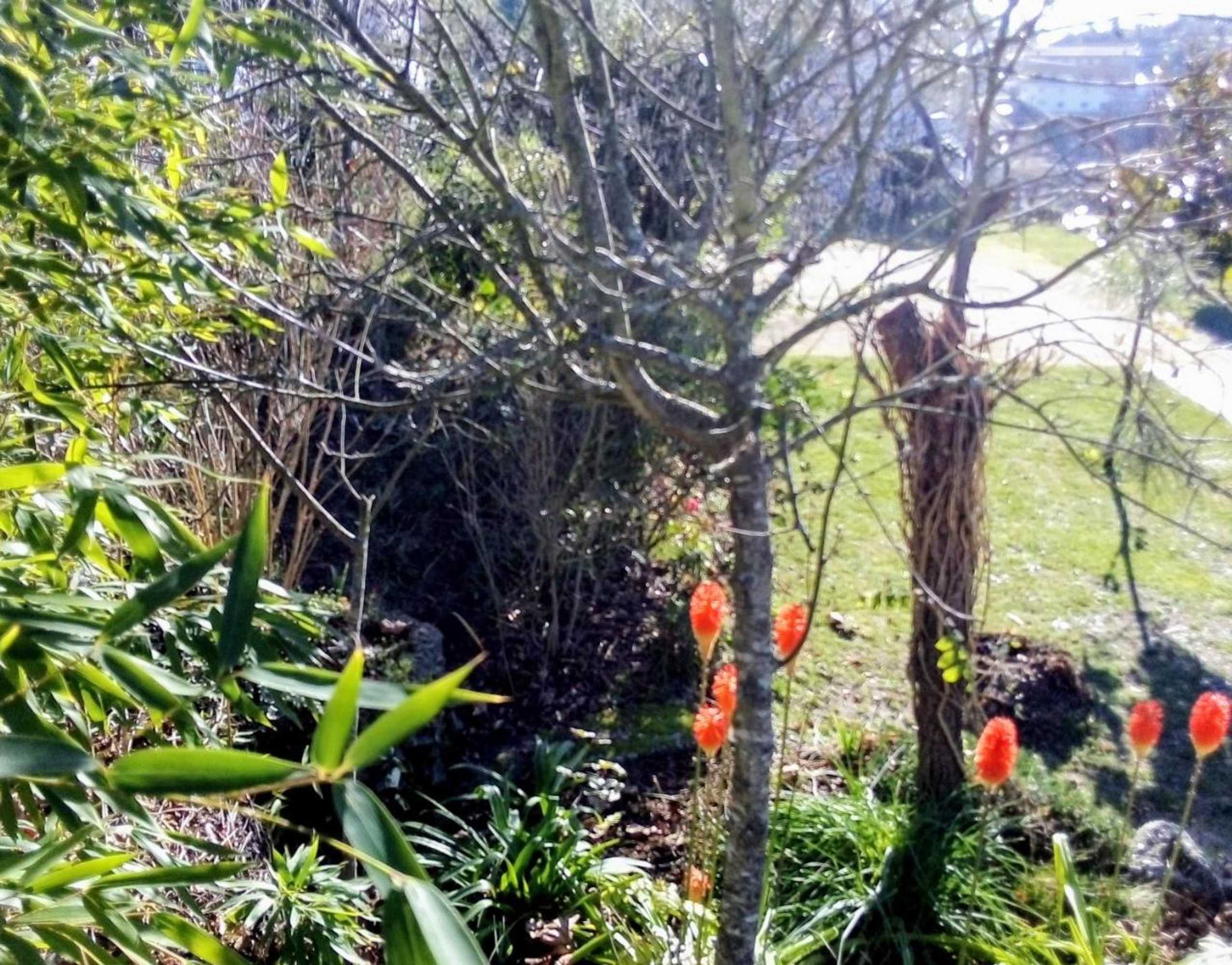 Gift card for Casa Vale do Rio Ovil