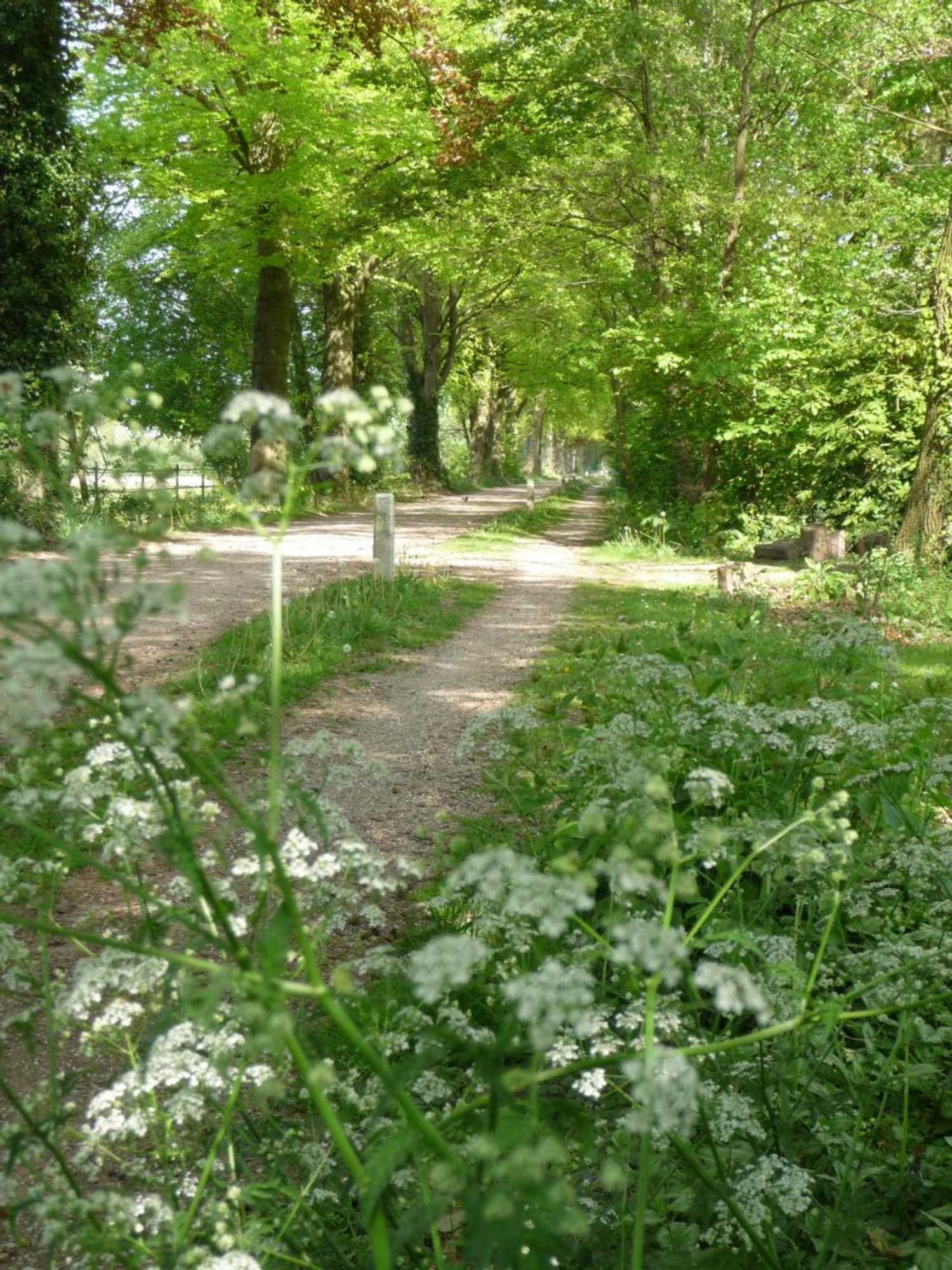 Gift card for B&b Achterhoeks Halle