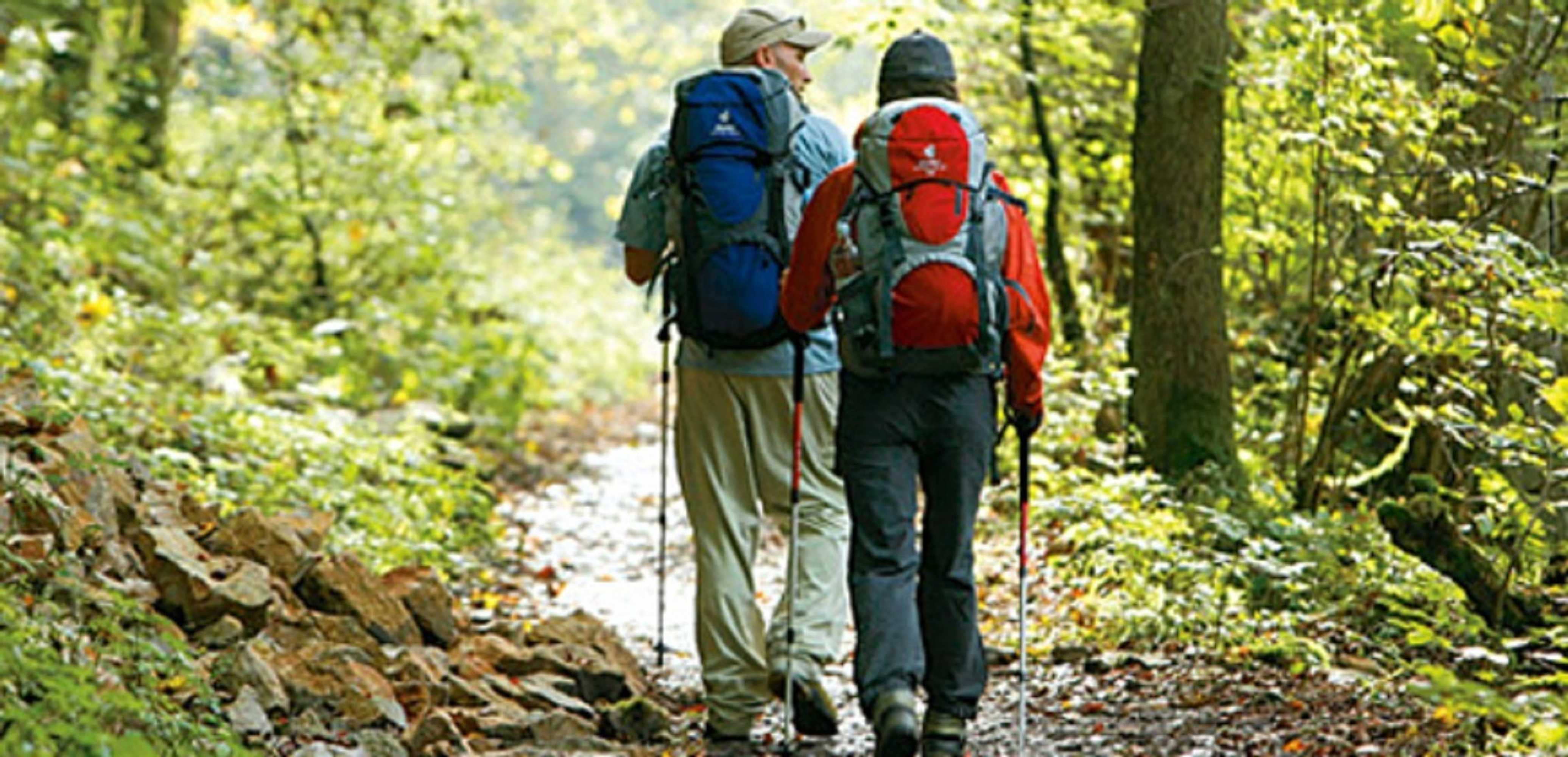 Gift card for Hotel an Der Sonne & Restaurant Zum Schneiger