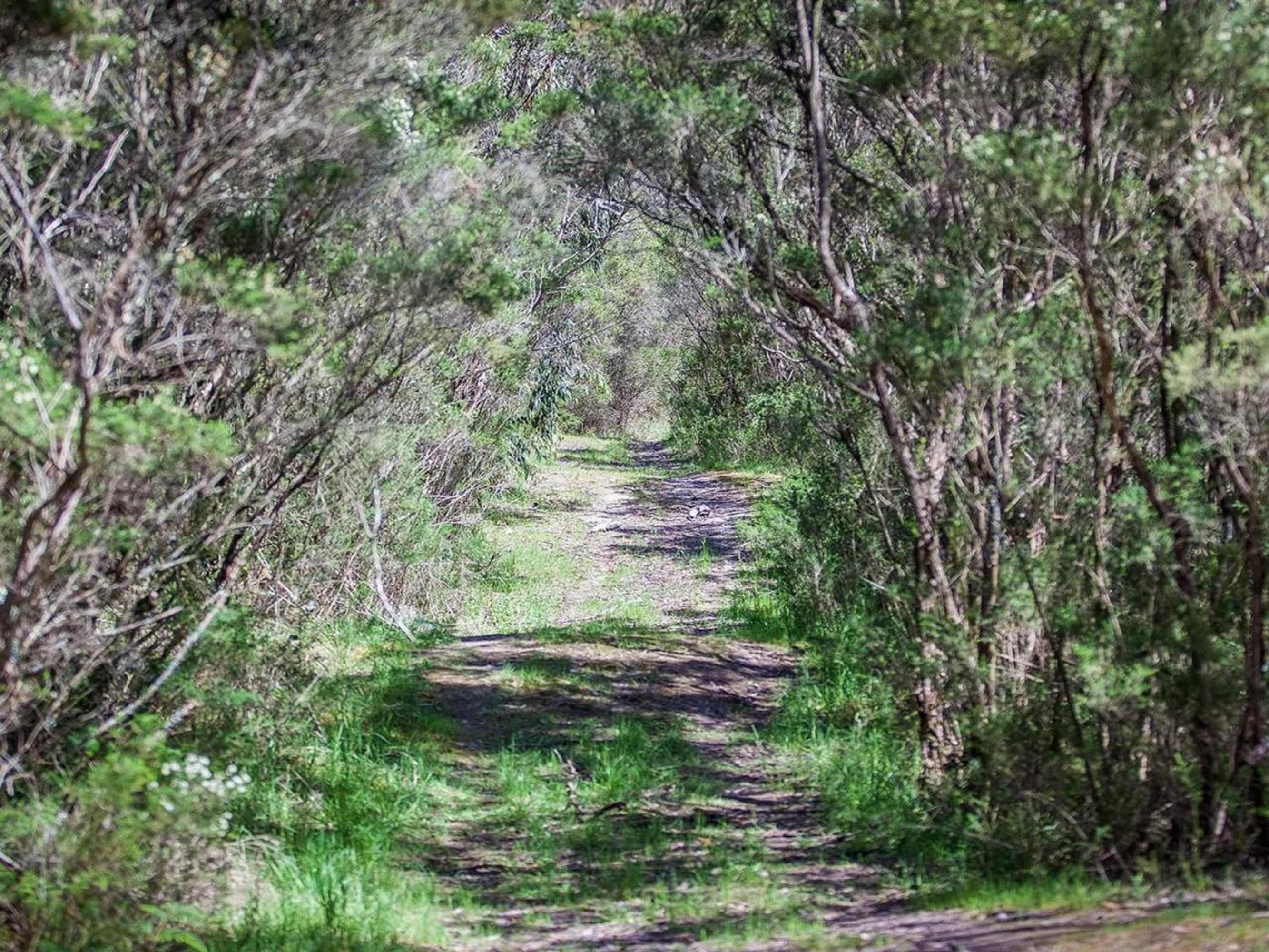 Gift card for Red Hill Ridge