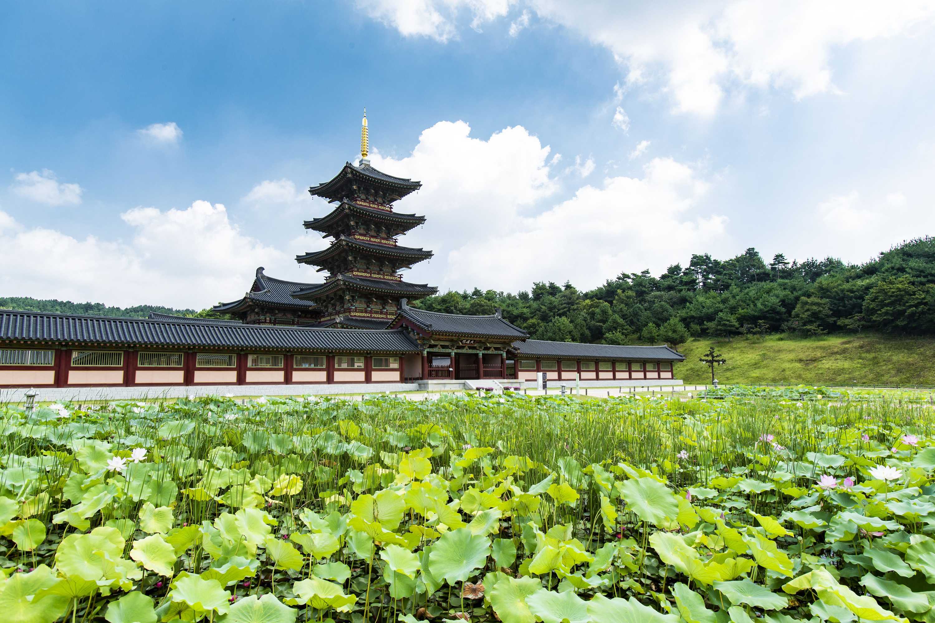 Gift card for Lotte Resort Buyeo Gift card for Lotte Resort Buyeo