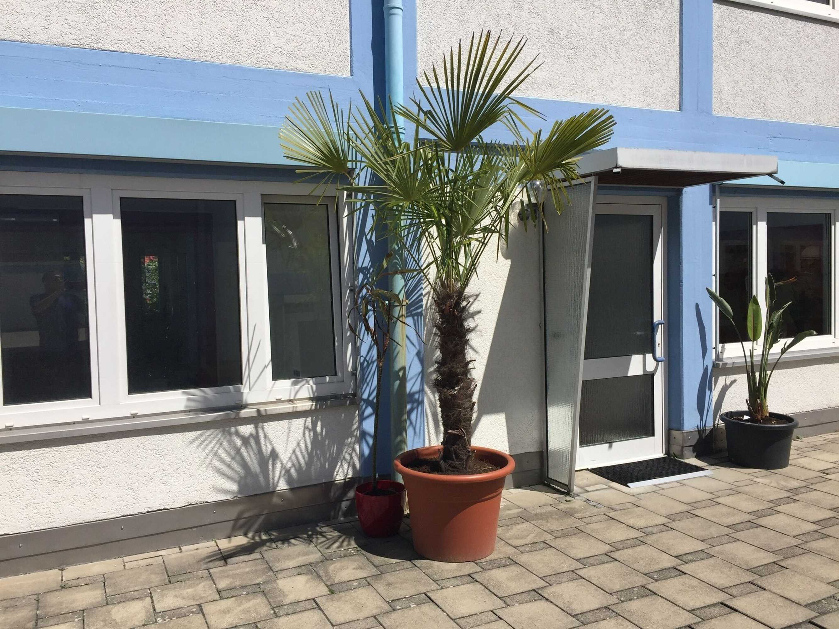 Gift card for Carli's Bed-No-Breakfast