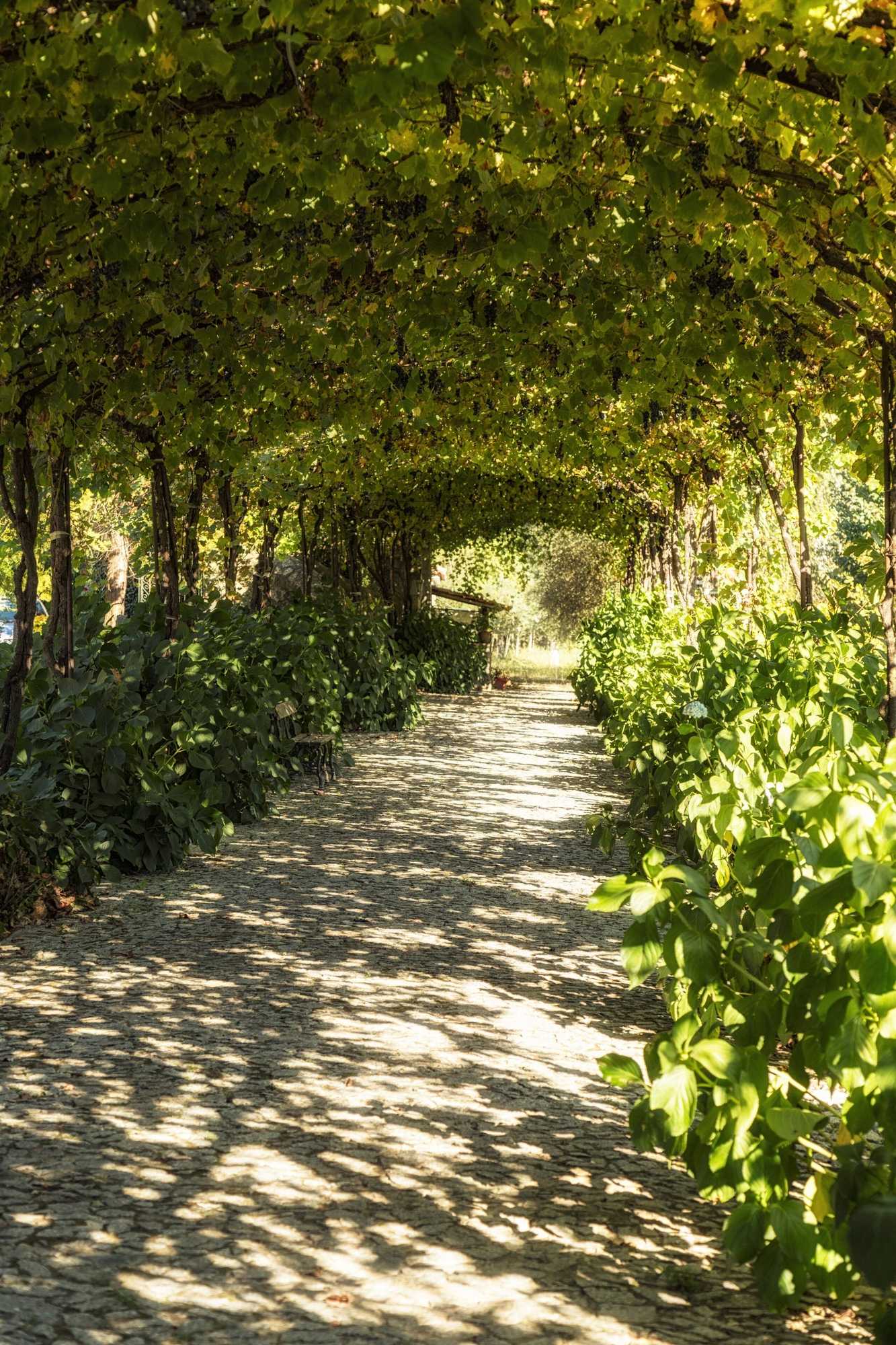 Gift card for Casa Das Paredes