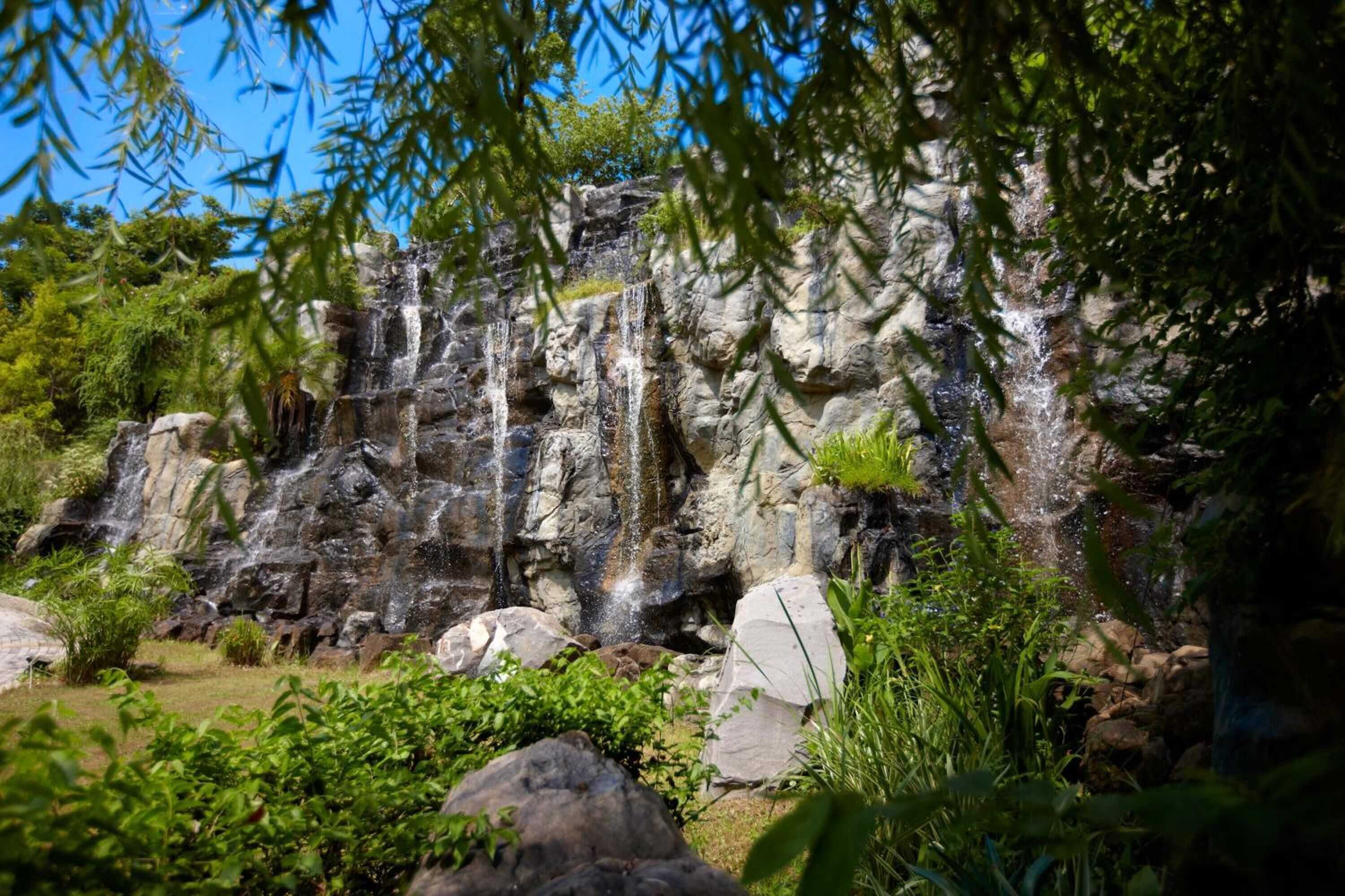 Gift card for Spring Hill Resort