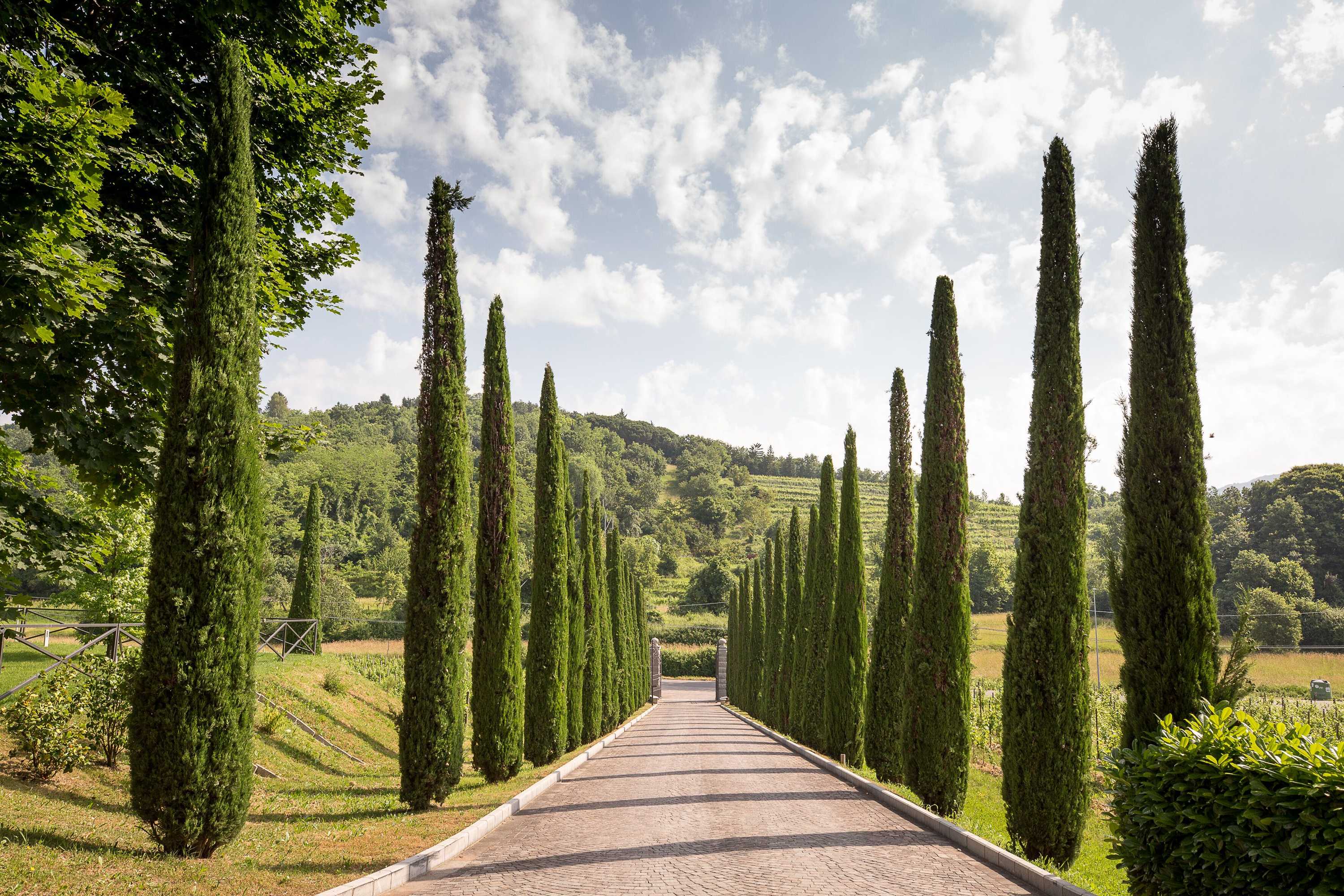 Gift card for Il Roncal Wine Resort - For Wine Lovers Gift card for Il Roncal Wine Resort - For Wine Lovers