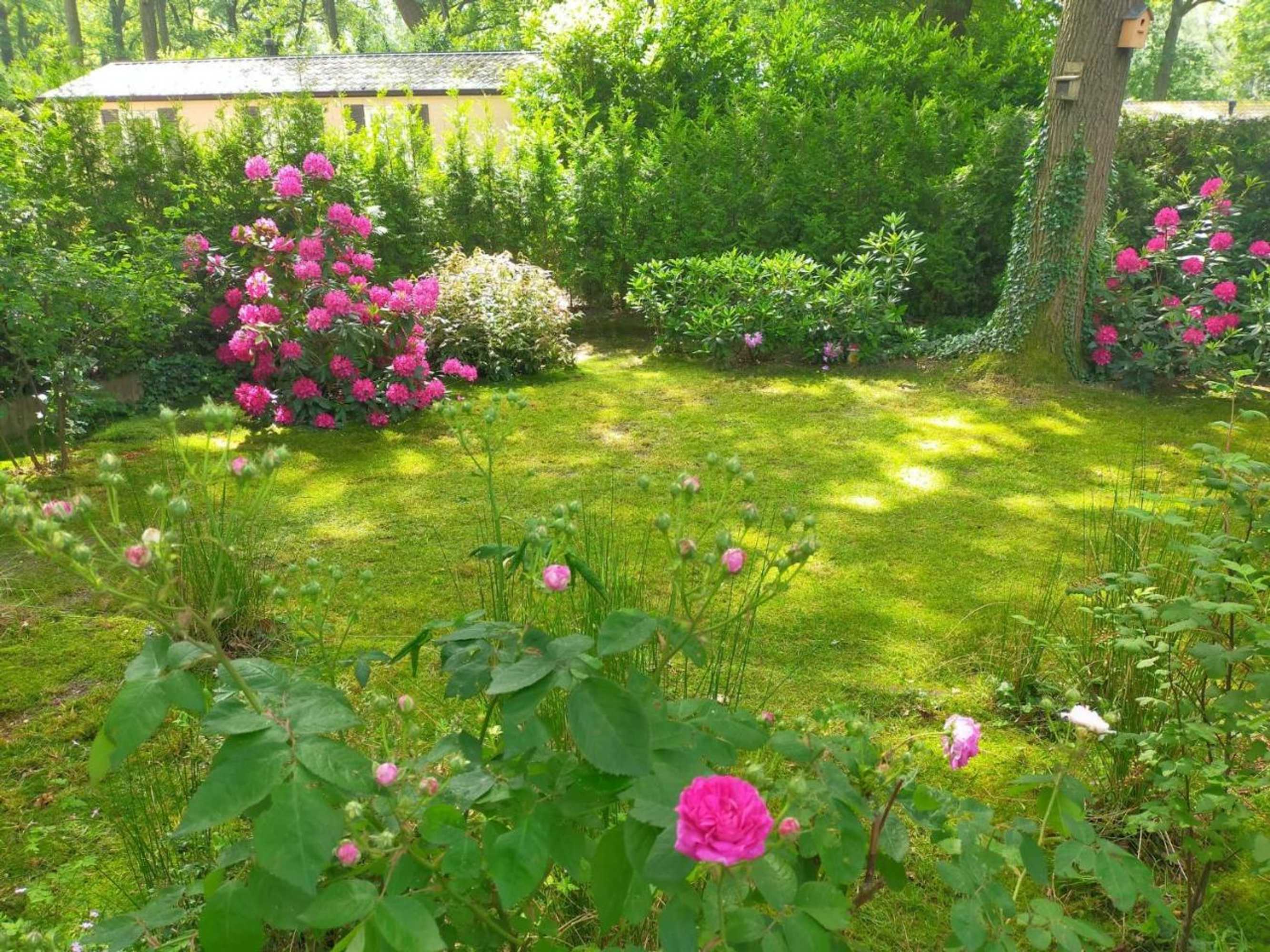 Gift card for Vakantie Veluwe